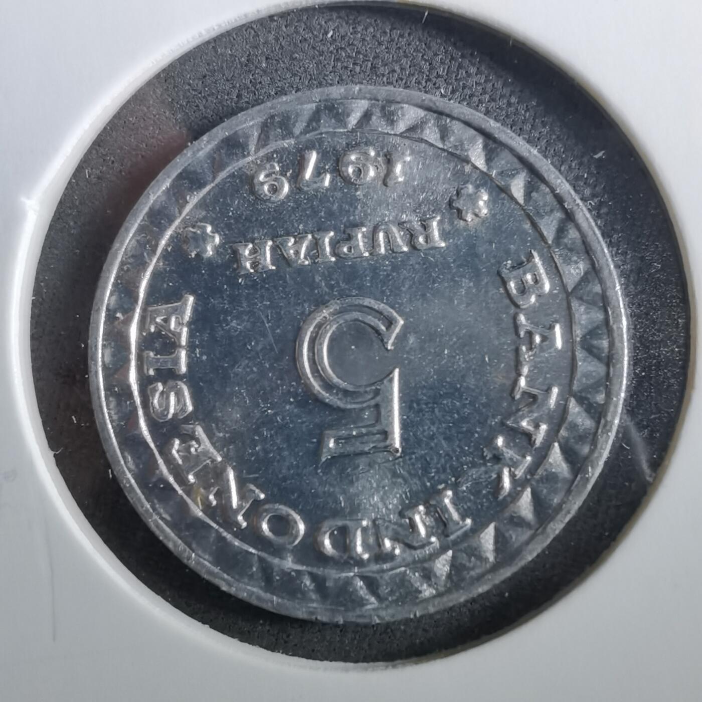 沼泽如烟--第960场