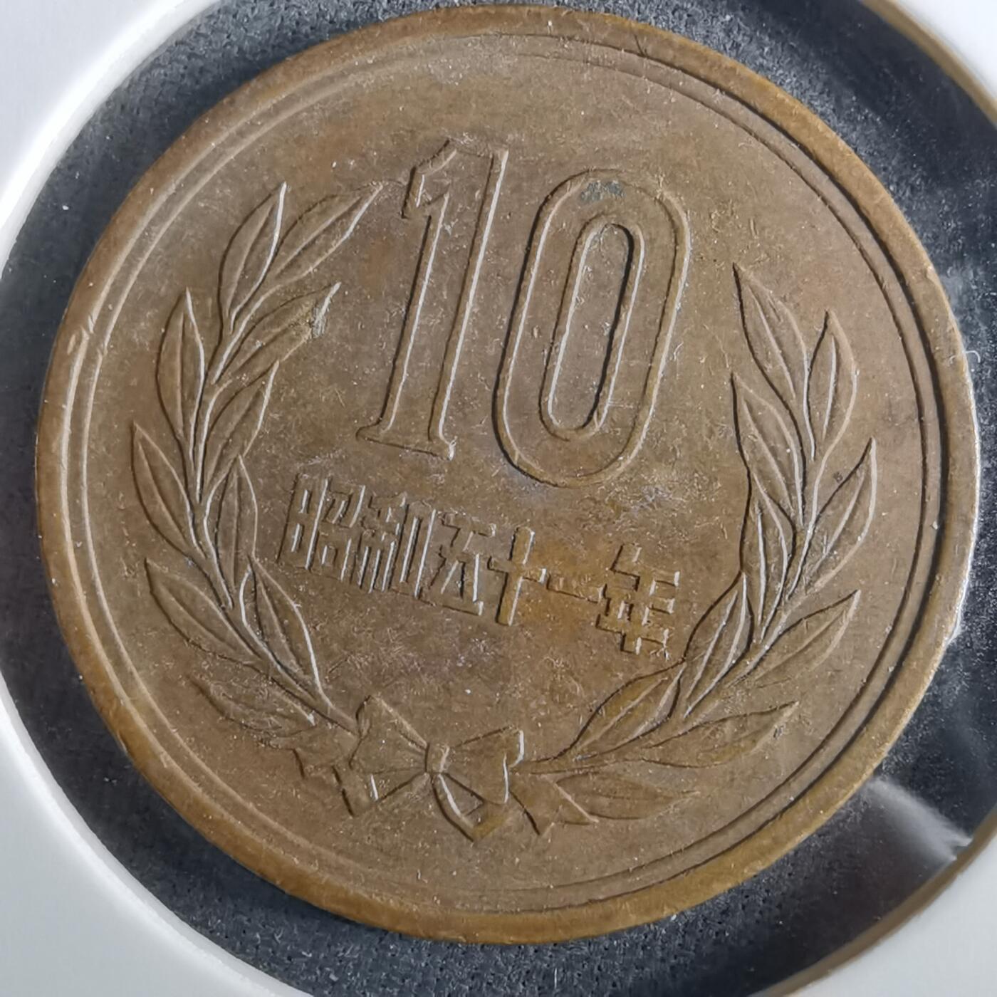 沼泽如烟--第960场