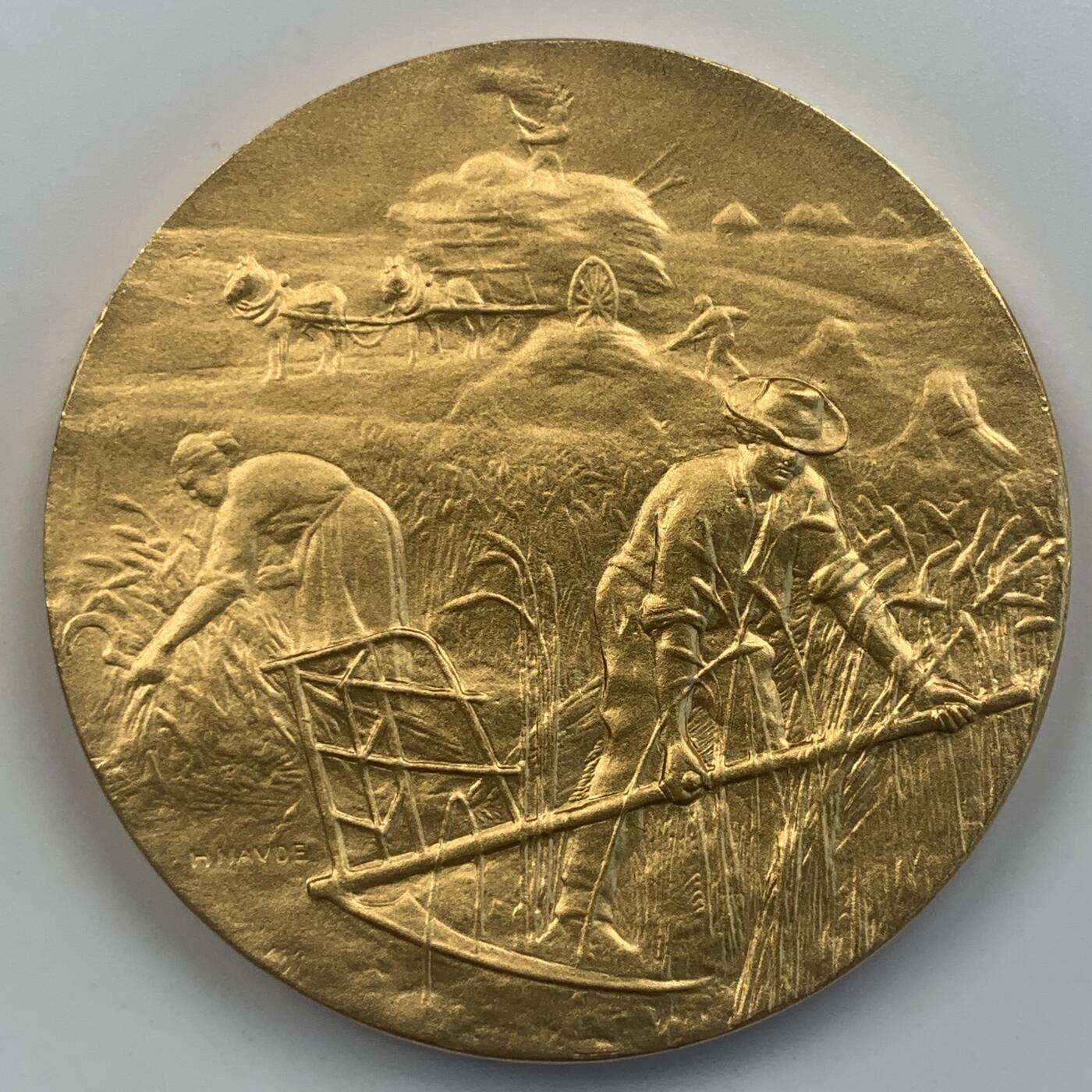 掌中浮雕-藏着的欧洲第049场 法国巴黎蒙塔基农业展览会镀金铜章，50mm