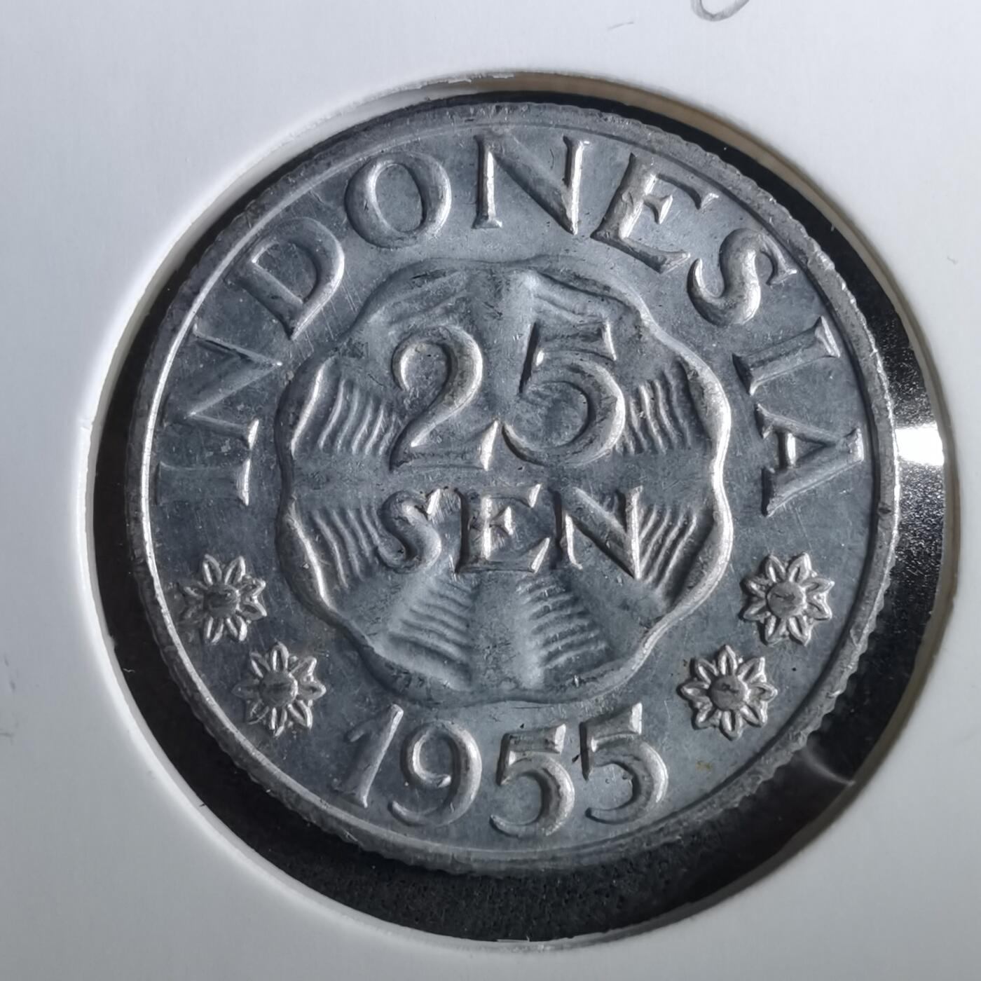 沼泽如烟--第960场