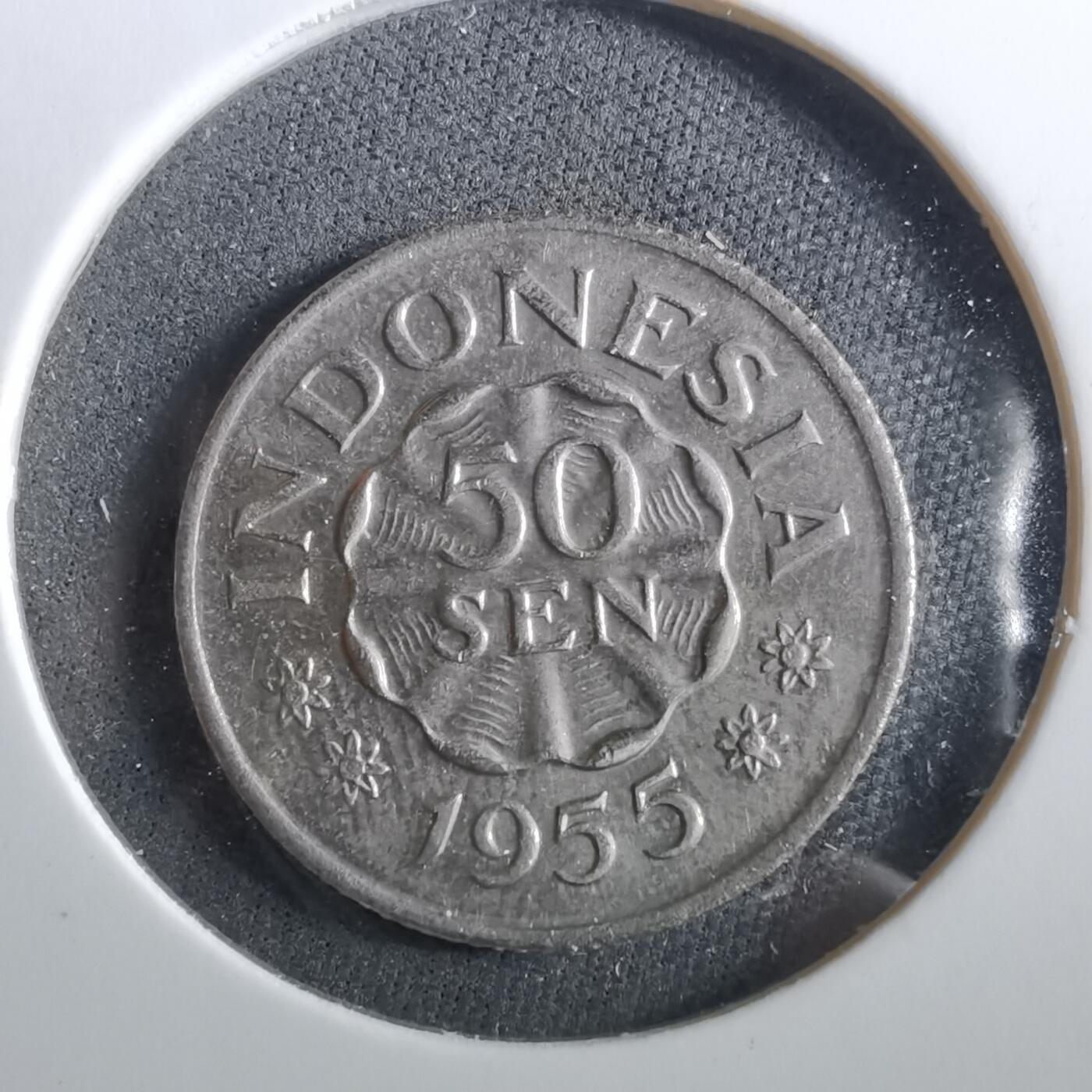 沼泽如烟--第960场 印度1955年50分