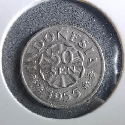 沼泽如烟--第960场 - 印度1955年50分