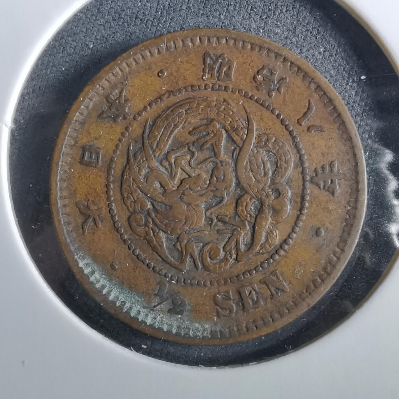 沼泽如烟--第960场