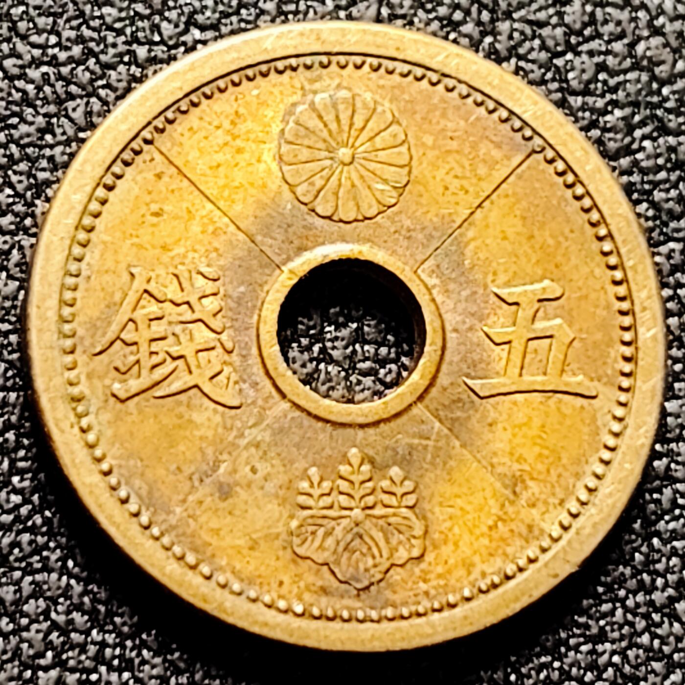 泉币菌-第169场- 精品福利场 。