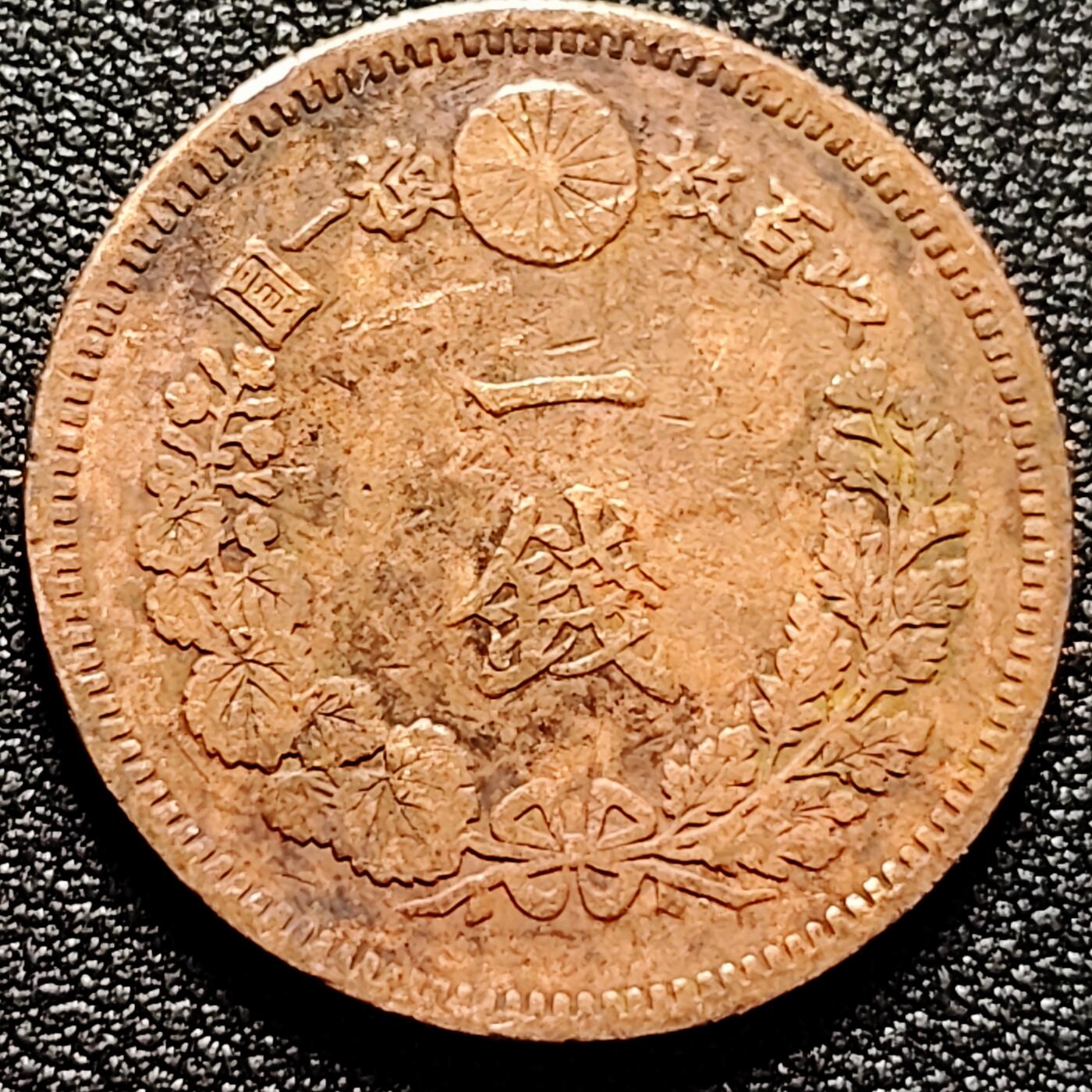 泉币菌-第169场- 精品福利场 。