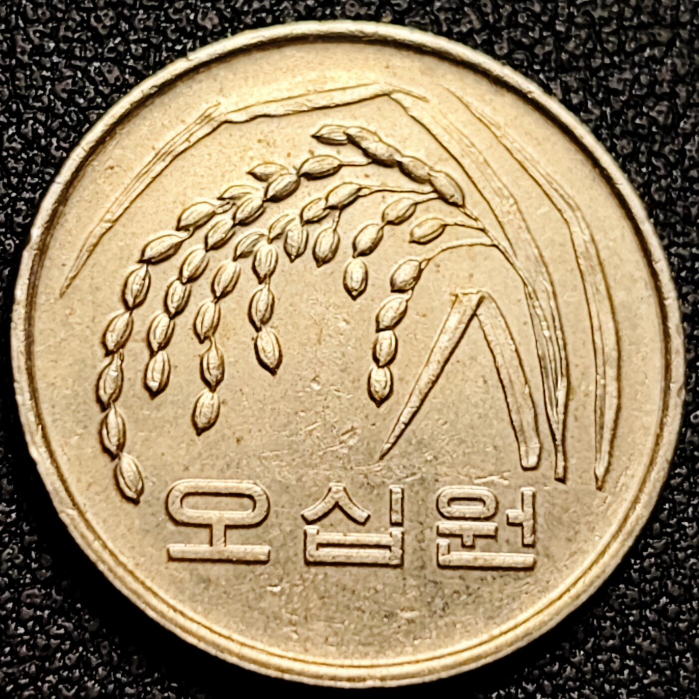 泉币菌-第168场- 精品福利场 。