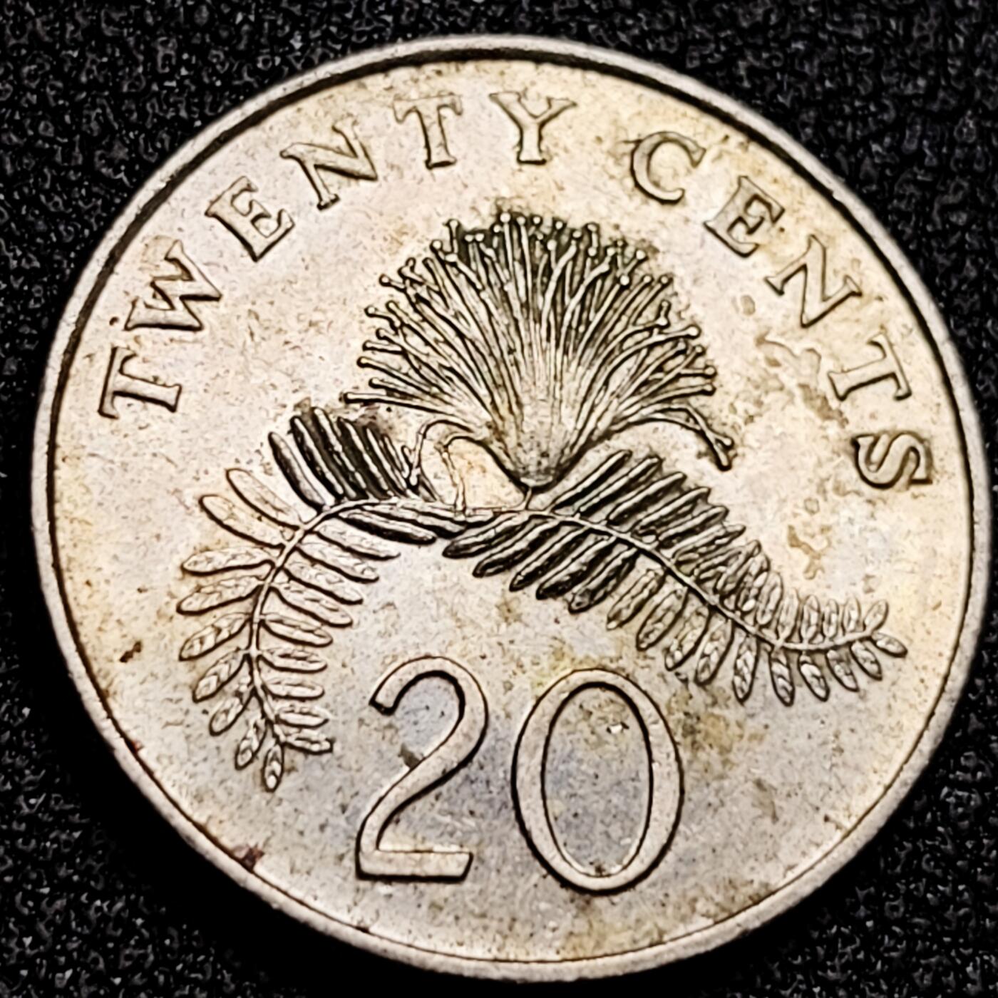 泉币菌-第168场- 精品福利场 。