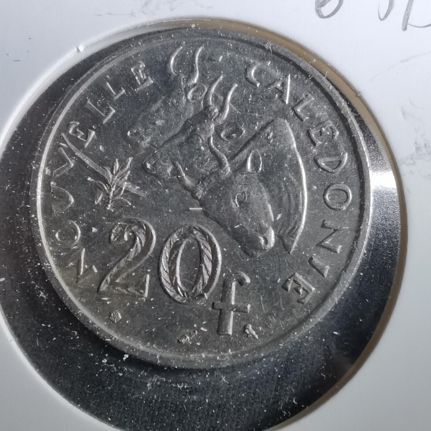 沼泽如烟--第960场