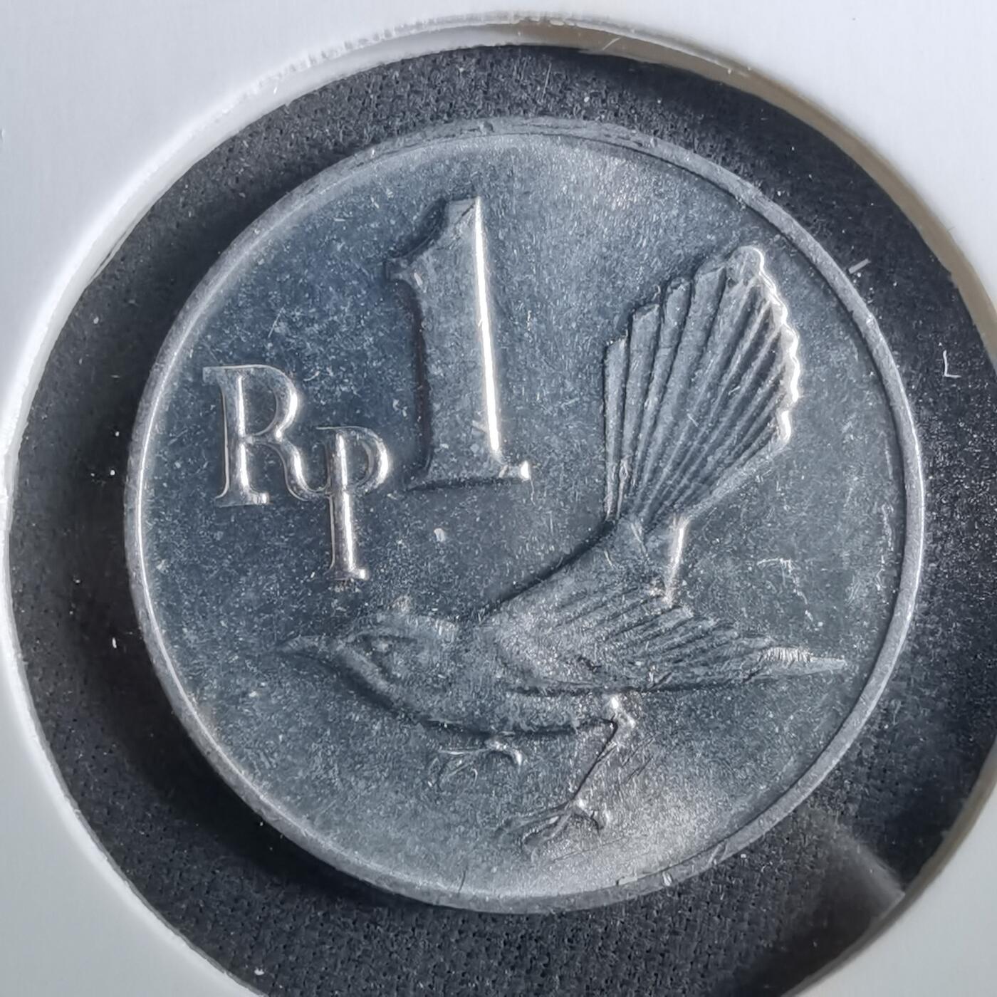 沼泽如烟--第960场