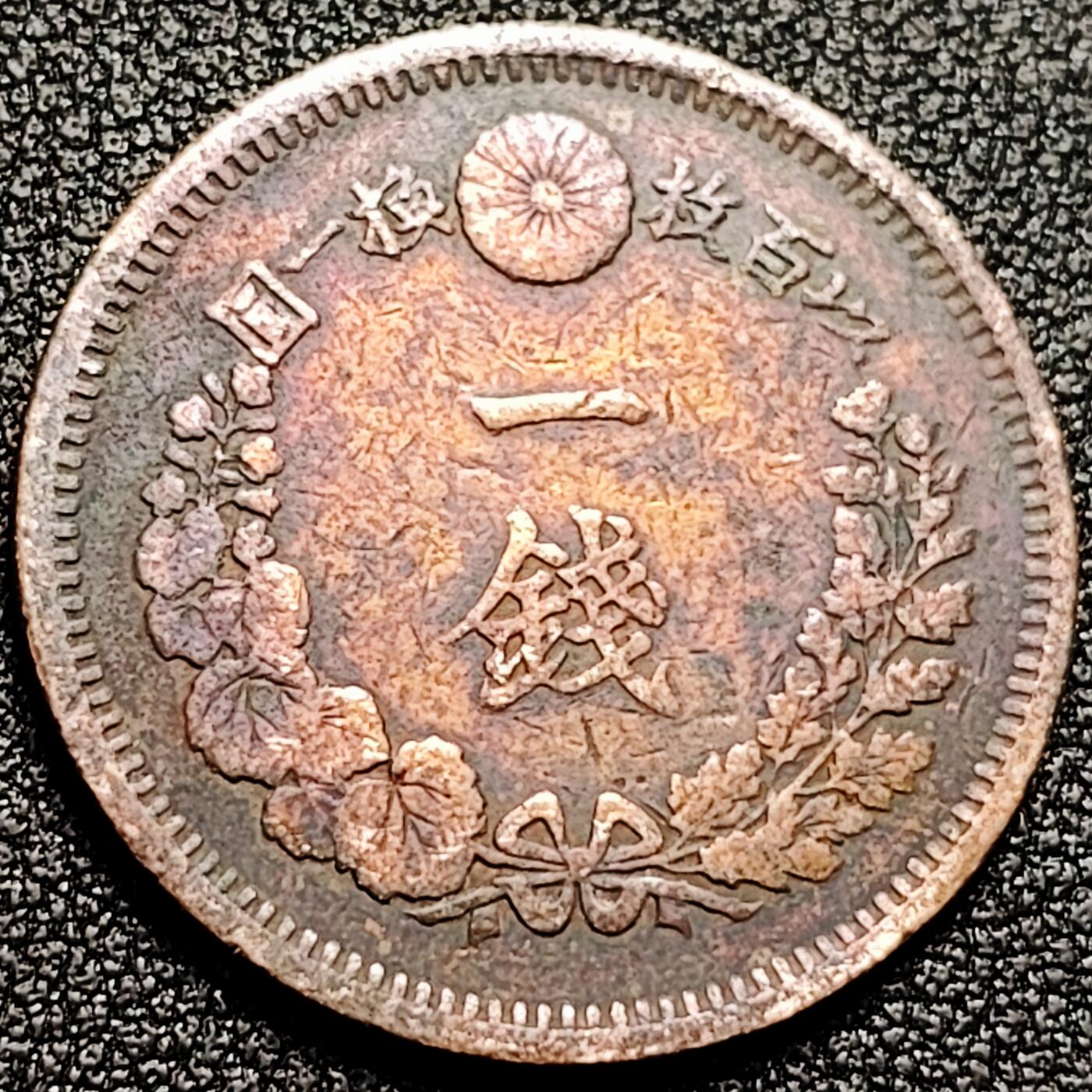 泉币菌-第168场- 精品福利场 。