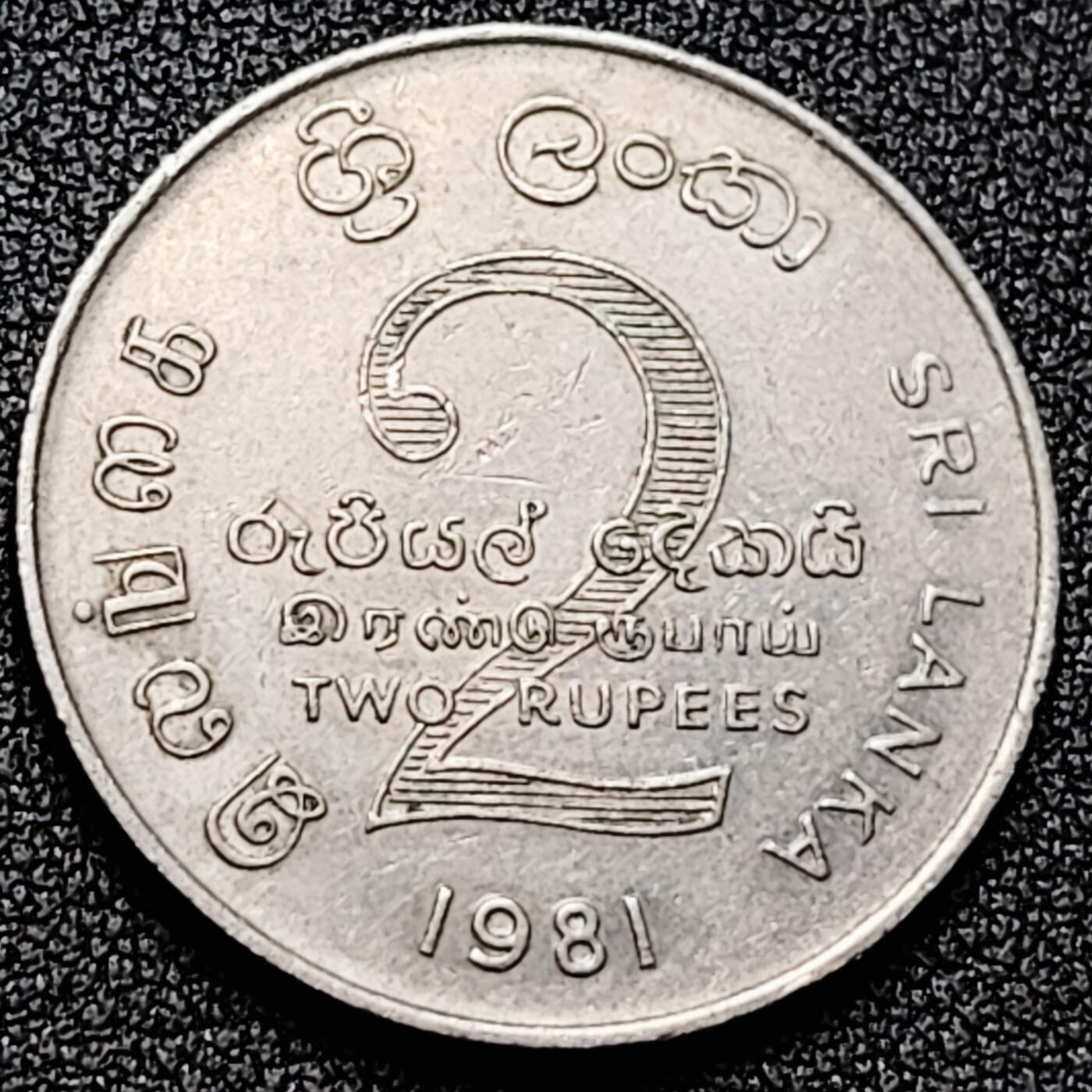 泉币菌-第169场- 精品福利场 。