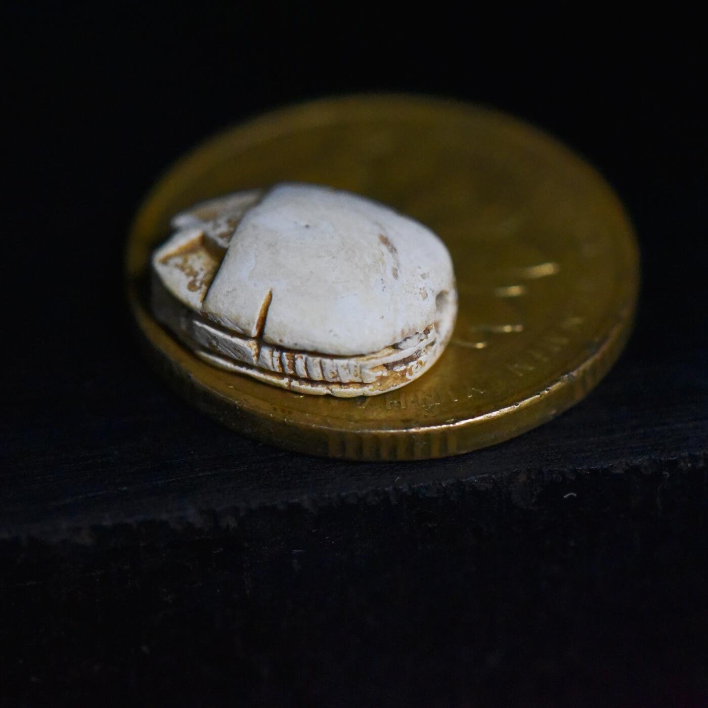 【良泉】【春节前最后一场】2月5日晚19.30点开拍！208组，本场结束后预存钱币的朋友请告知，将连同本场拍品一起邮寄，预祝诸位春节愉快！ 公元前1182-656年 【古埃及】 20-25王朝 圣书体铭文圣甲虫印章护身符