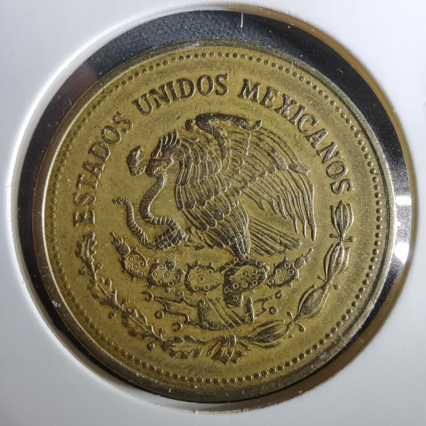 沼泽如烟--第960场