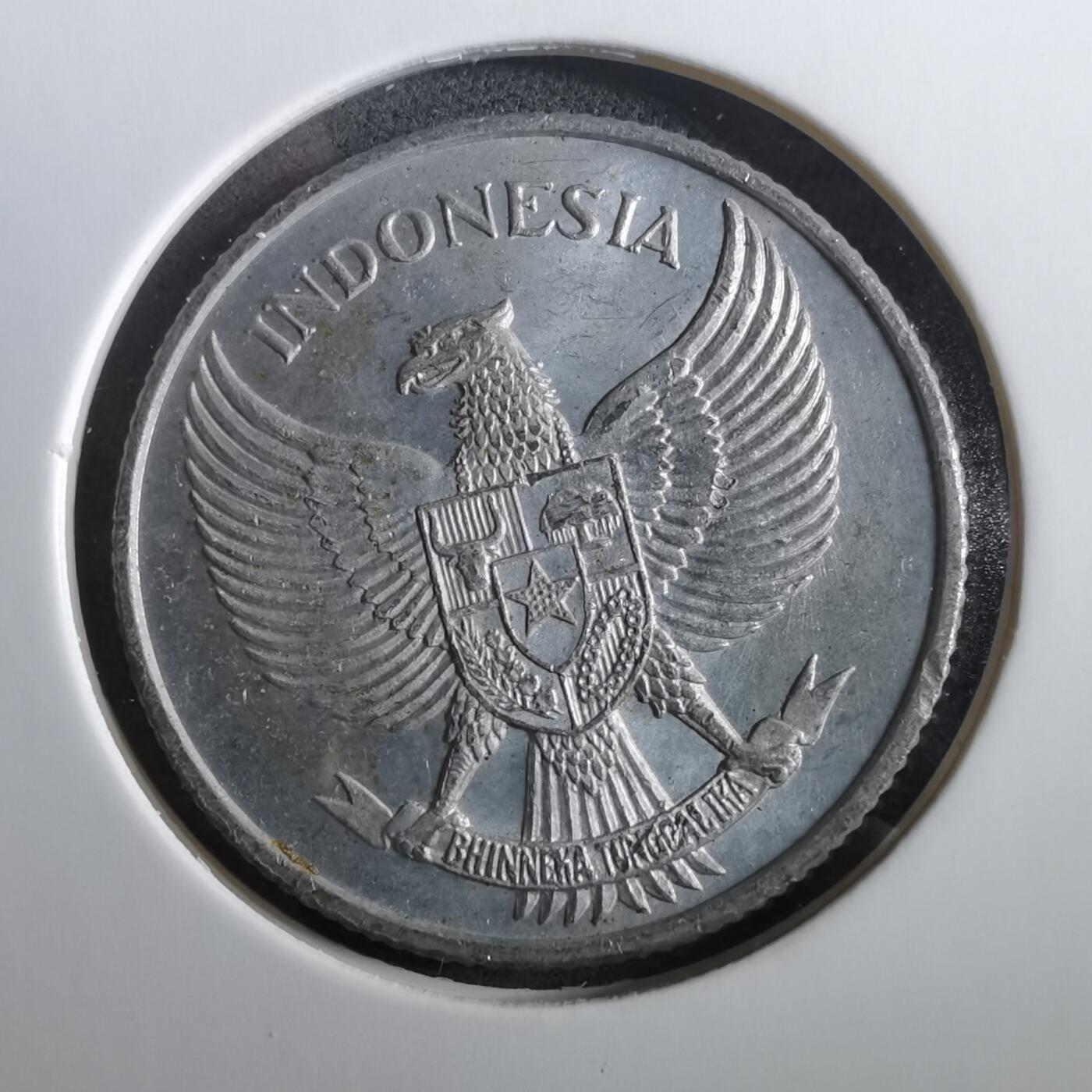 沼泽如烟--第960场