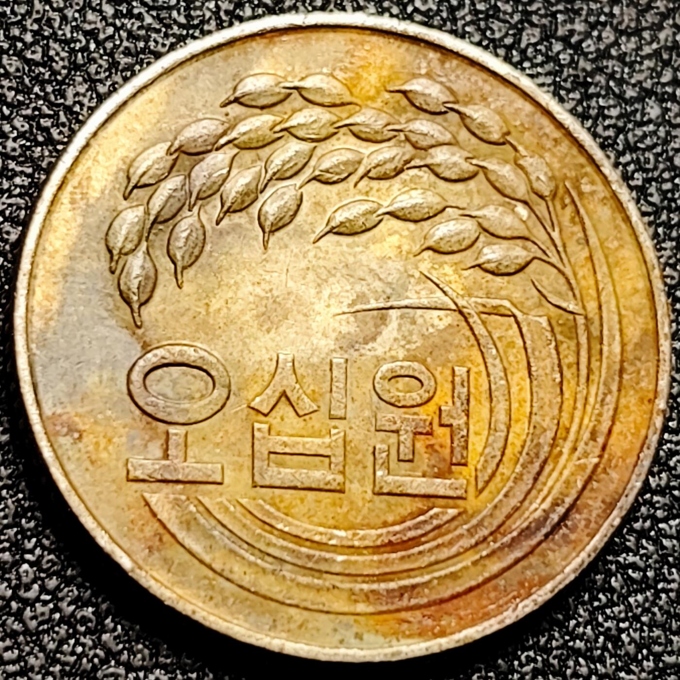 泉币菌-第168场- 精品福利场 。