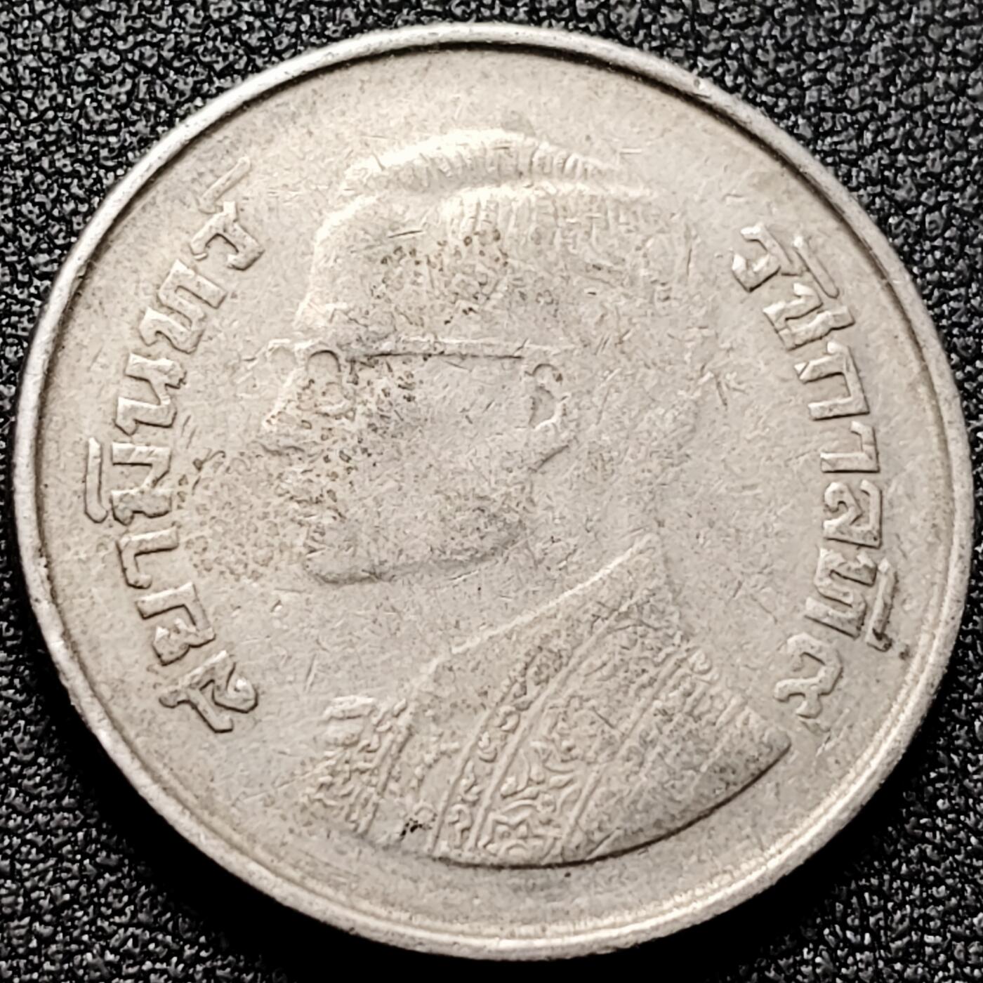 泉币菌-第169场- 精品福利场 。