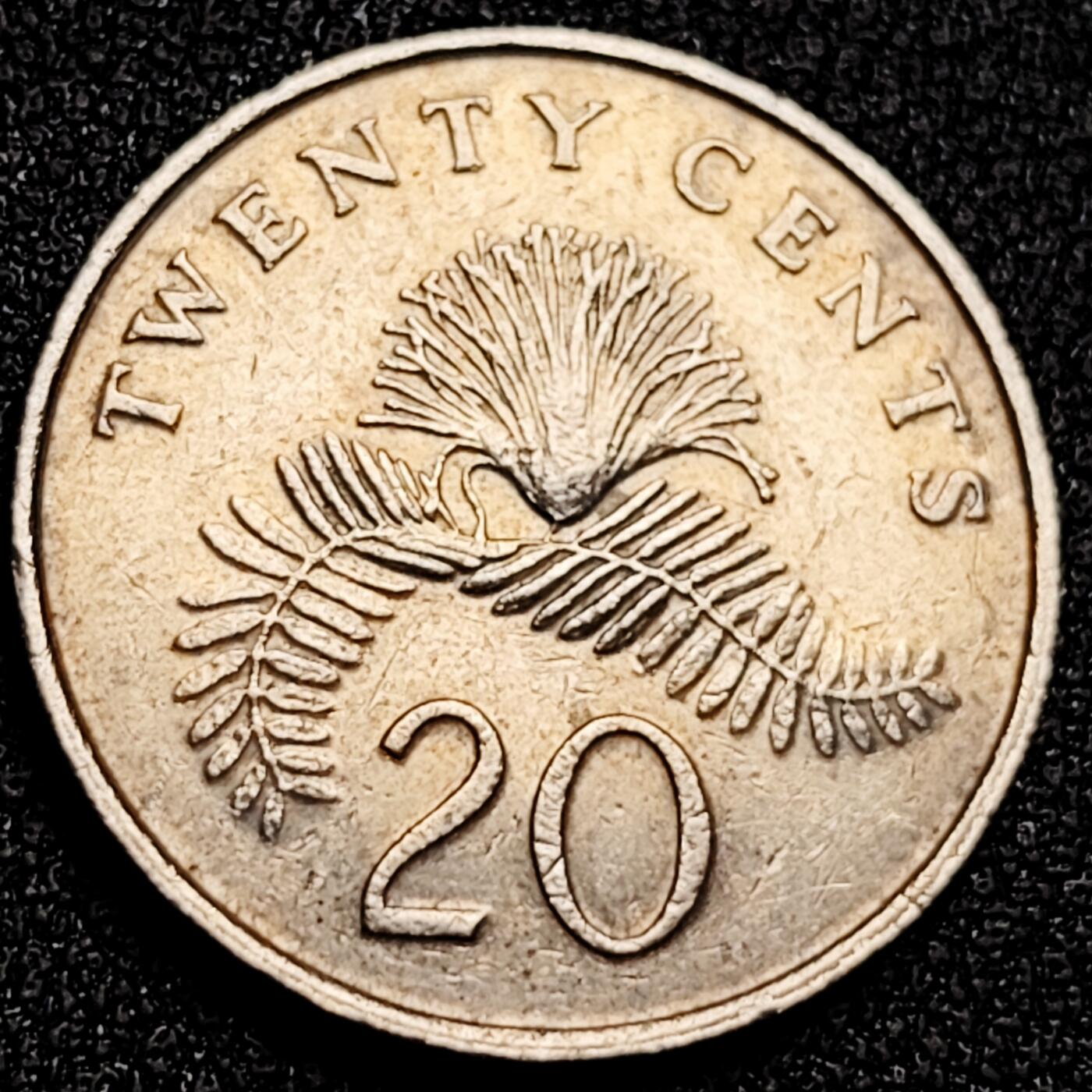 泉币菌-第168场- 精品福利场 。