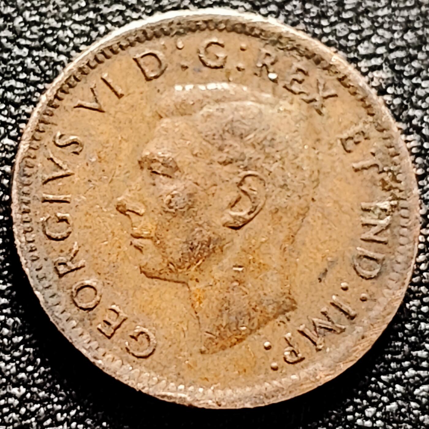 泉币菌-第168场- 精品福利场