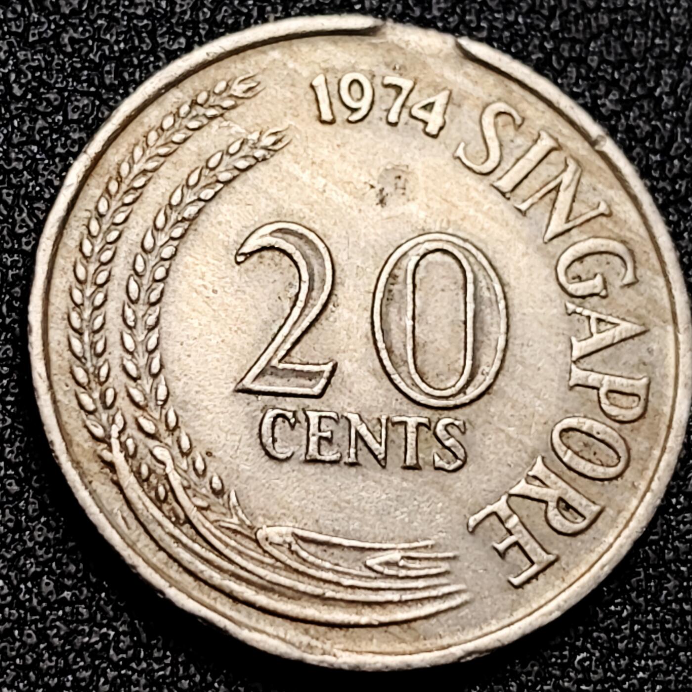 泉币菌-第168场- 精品福利场 。