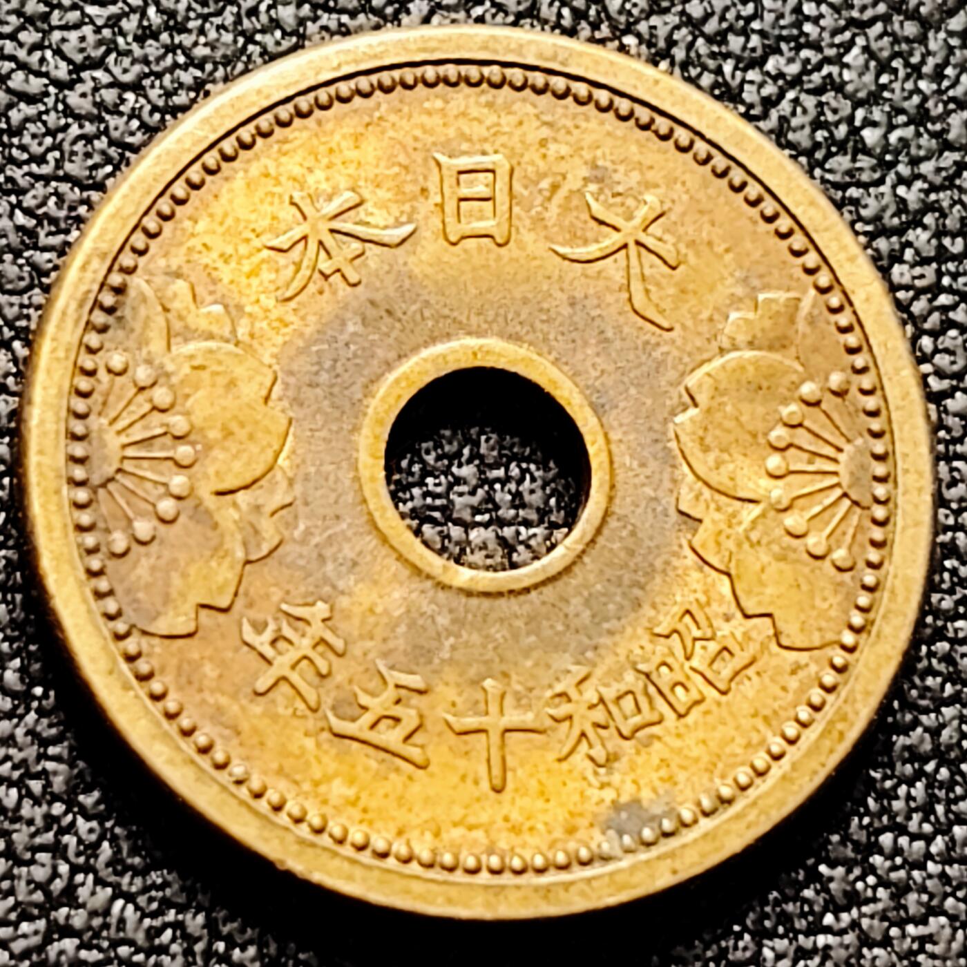 泉币菌-第169场- 精品福利场 。