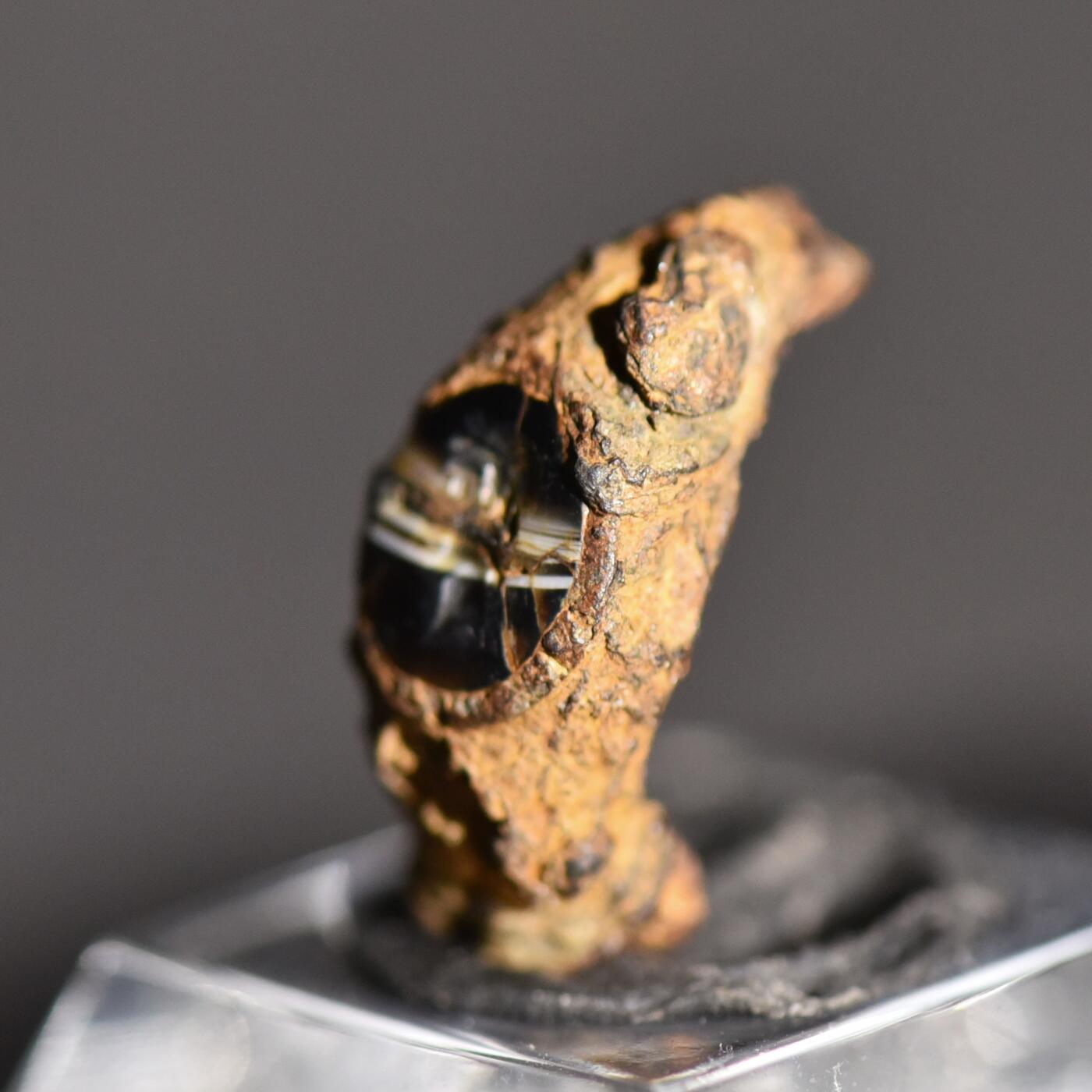 【良泉】【春节前最后一场】2月5日晚19.30点开拍！208组，本场结束后预存钱币的朋友请告知，将连同本场拍品一起邮寄，预祝诸位春节愉快！ 公元1–2世纪【古罗马】缠丝玛瑙材质“青年头像”宝石微雕戒面，原本铁质戒托部分残存