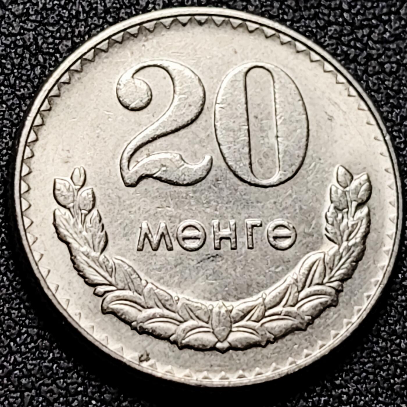 泉币菌-第169场- 精品福利场 。