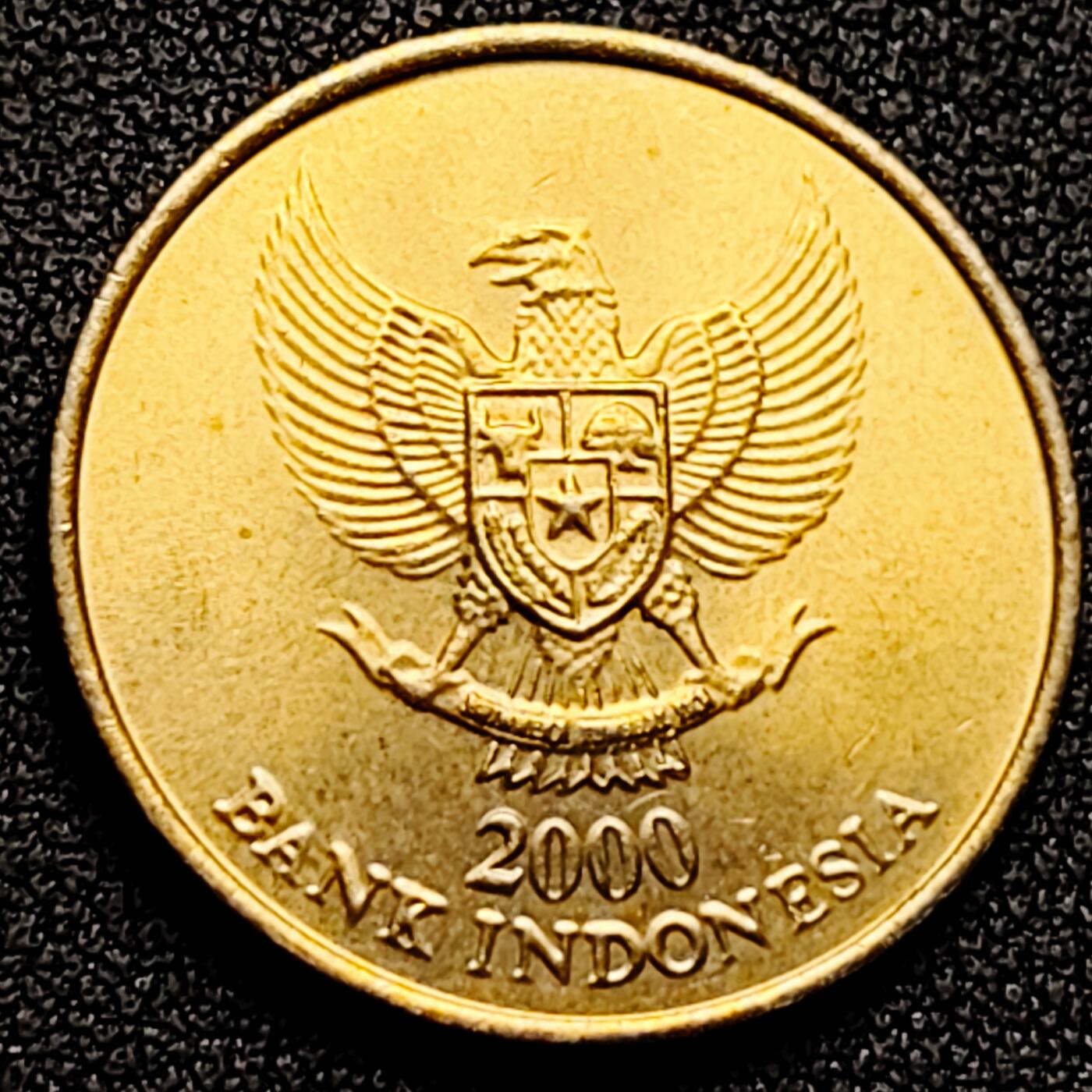 泉币菌-第169场- 精品福利场 。。