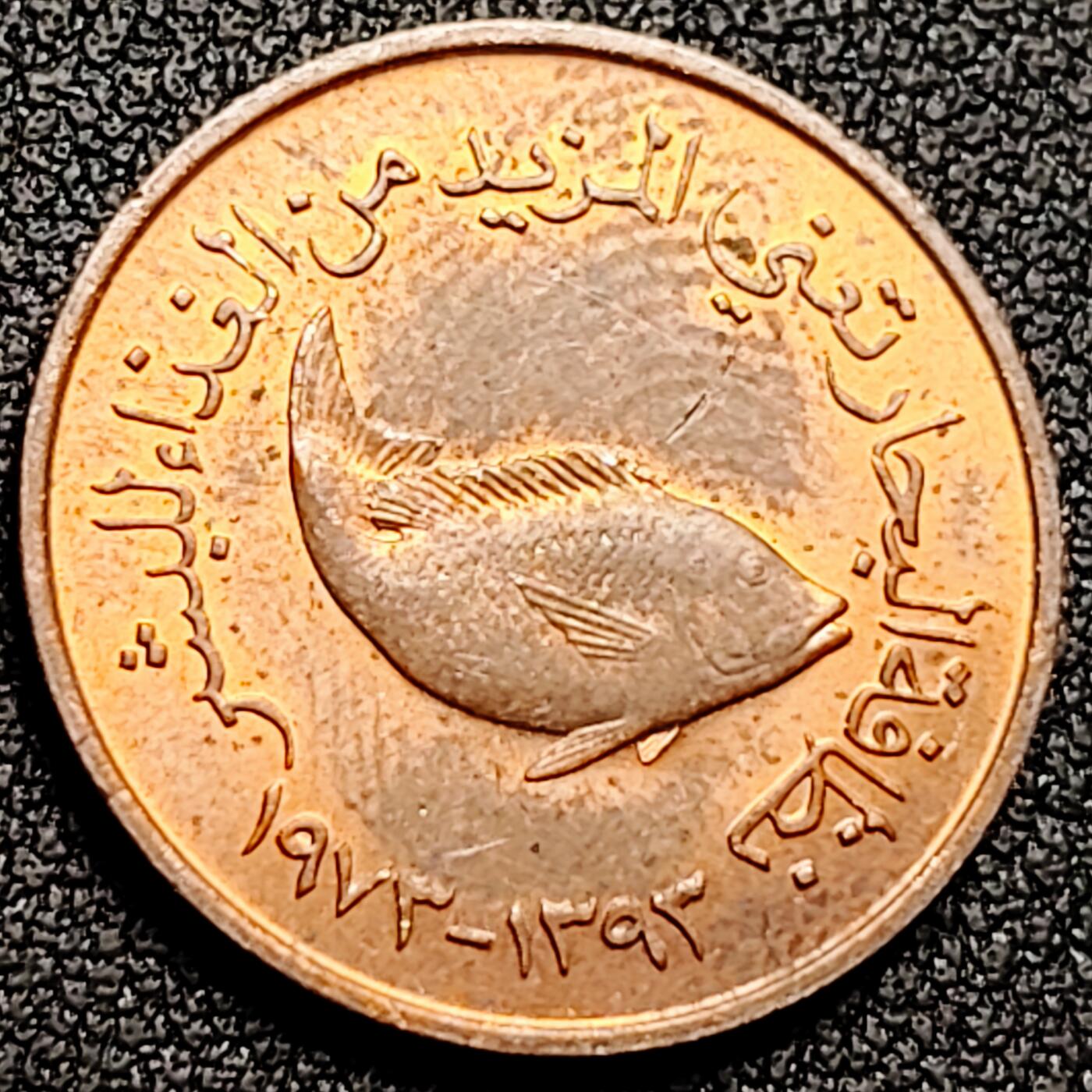 泉币菌-第169场- 精品福利场 。