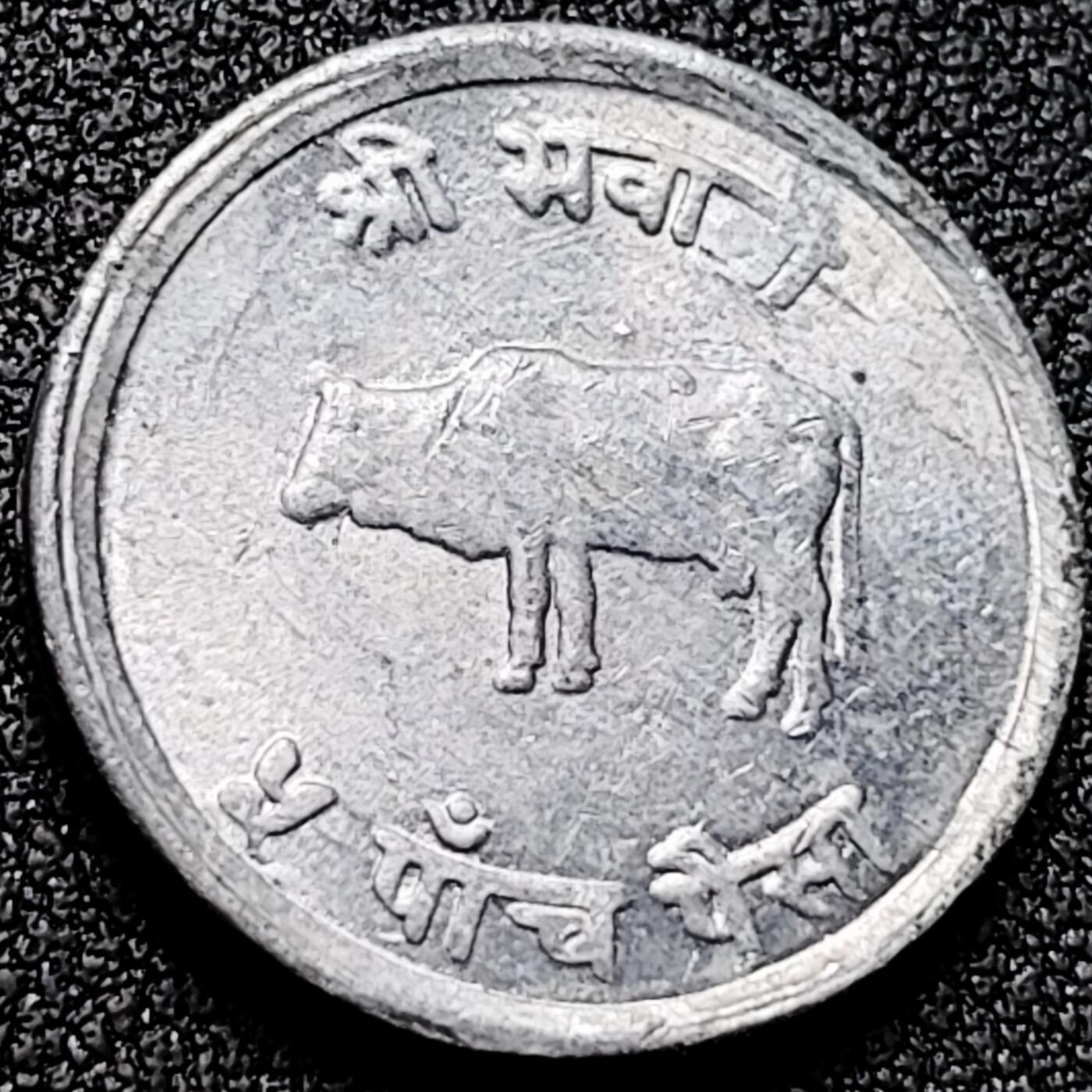 泉币菌-第169场- 精品福利场 。