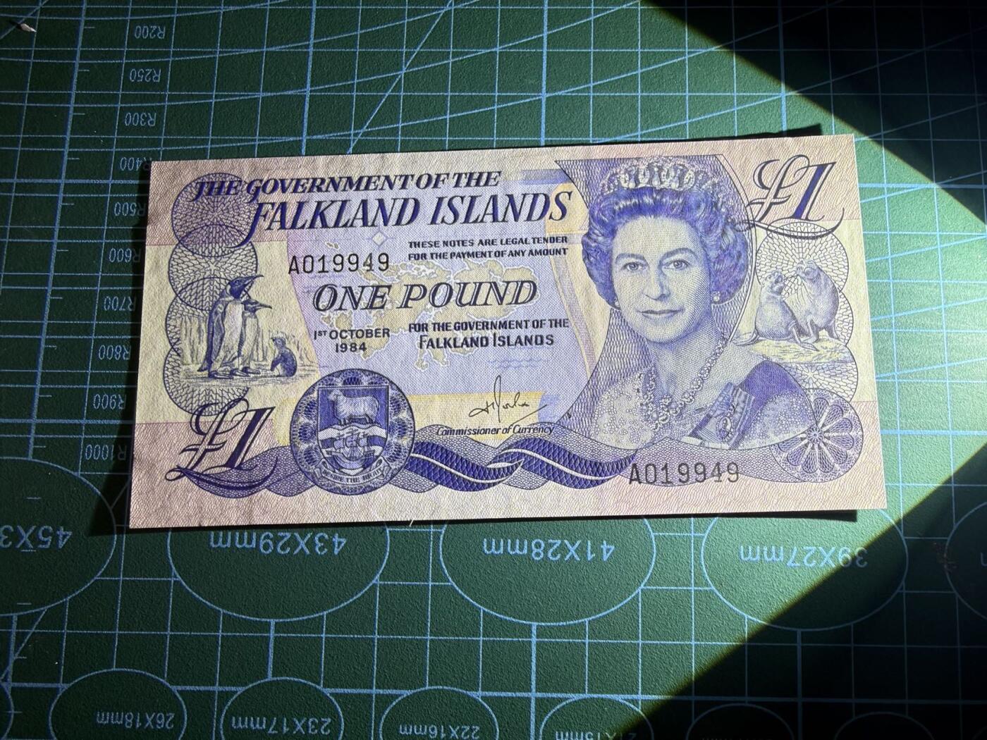 【炜奕收藏】，第五十七期，英联邦女王专场 1984年福克兰群岛1镑，UNC品相，A冠