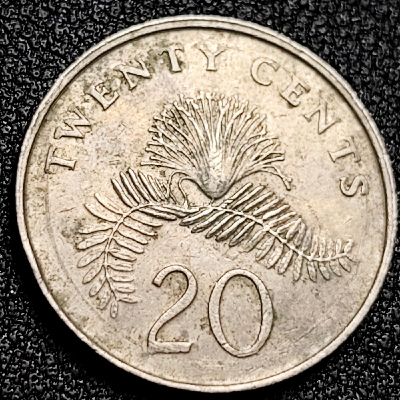 泉币菌-第168场- 精品福利场 。