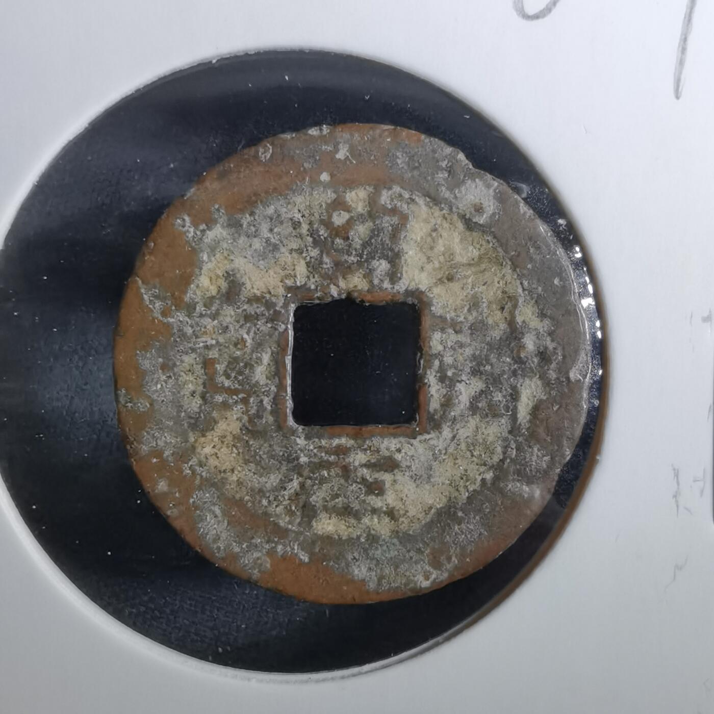 沼泽如烟--第960场