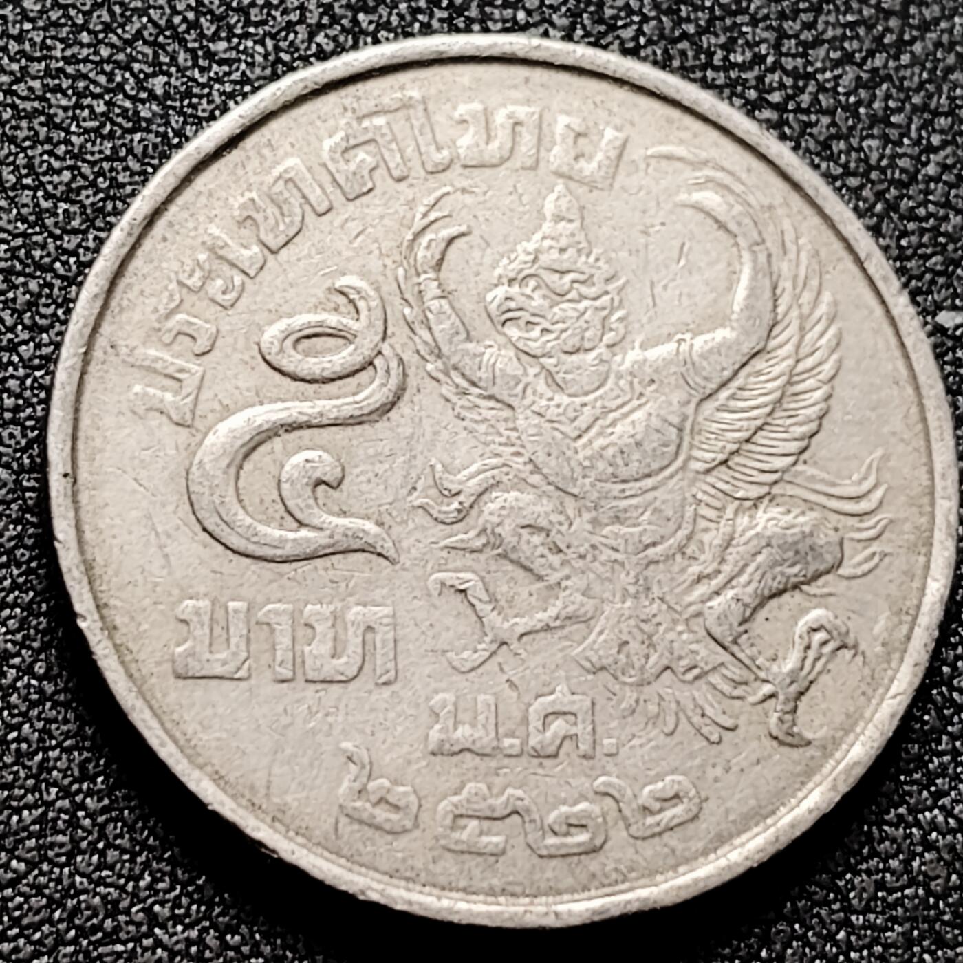 泉币菌-第169场- 精品福利场 。