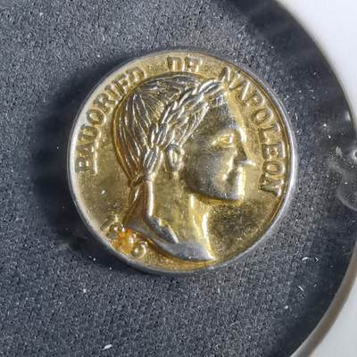 沼泽如烟--第960场 - 拿破仑小章