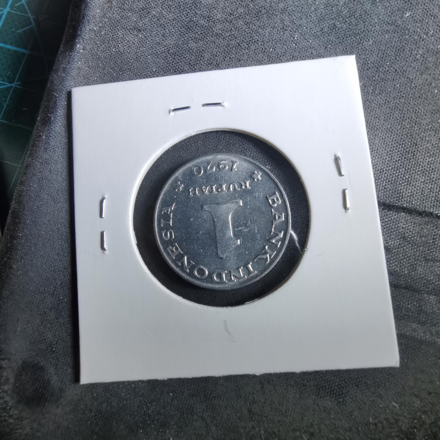 沼泽如烟--第960场