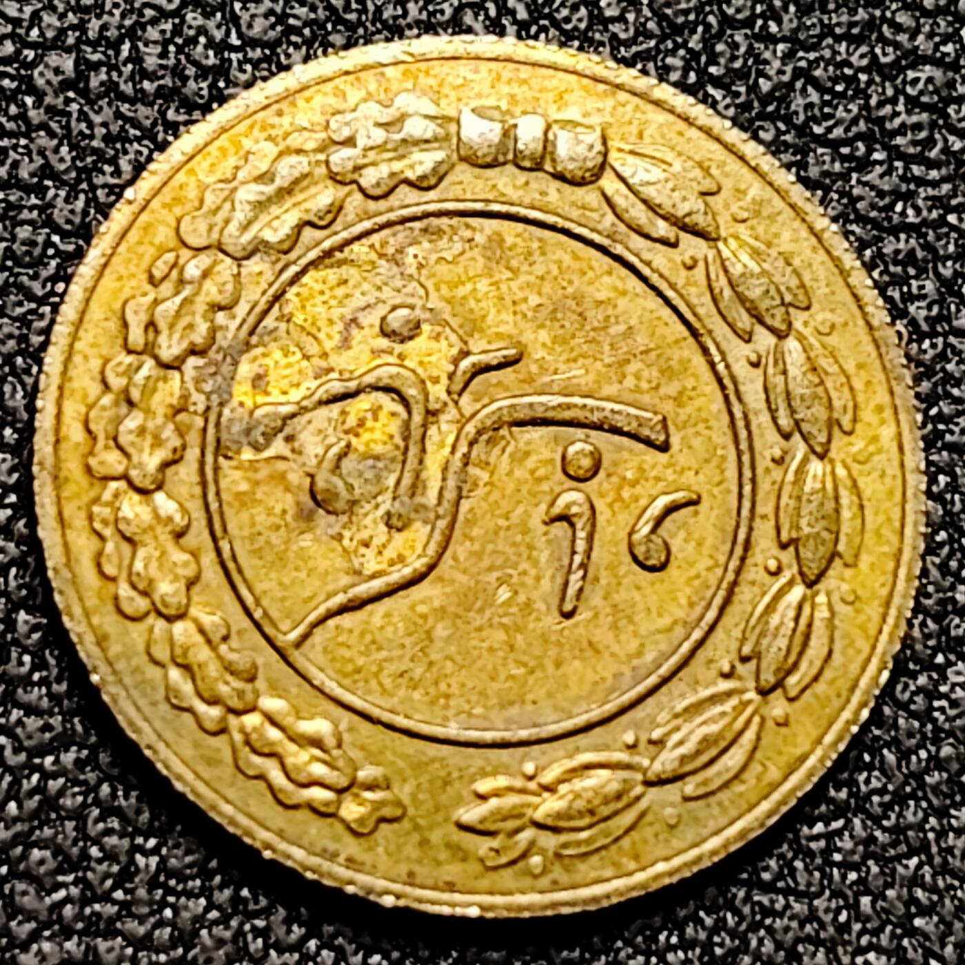 泉币菌-第169场- 精品福利场 。