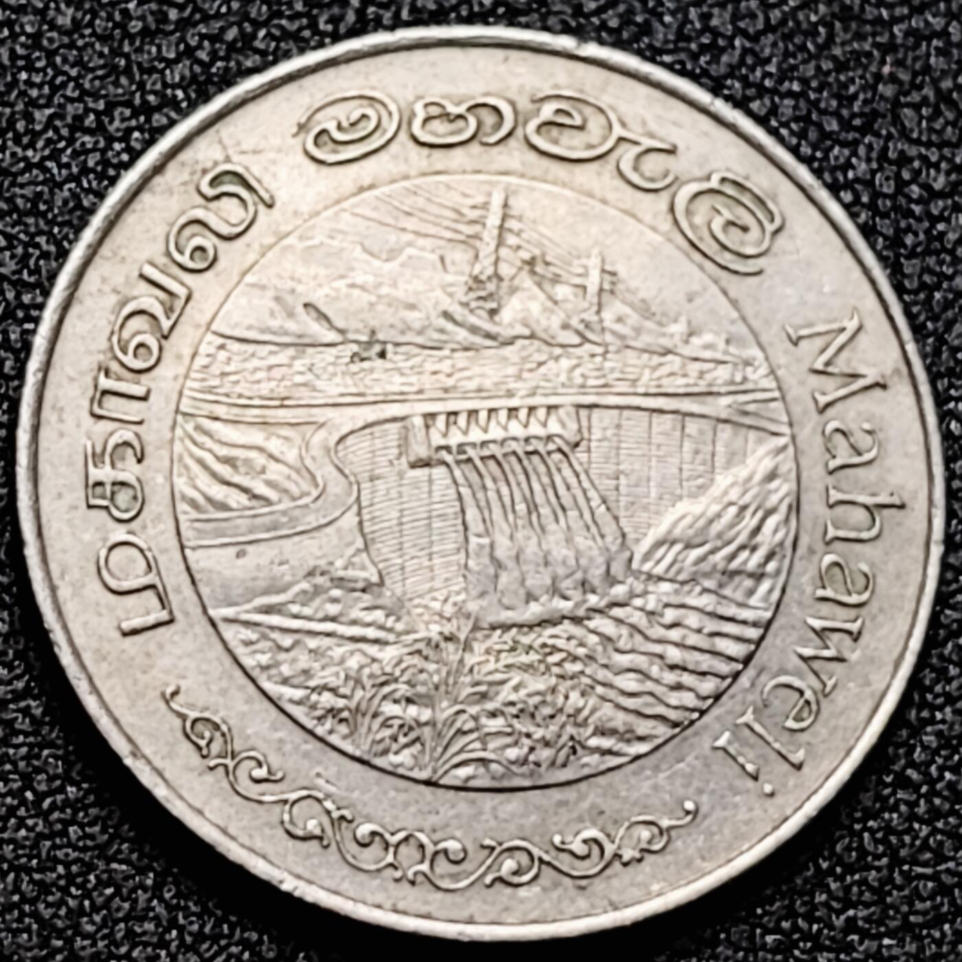 泉币菌-第169场- 精品福利场 。