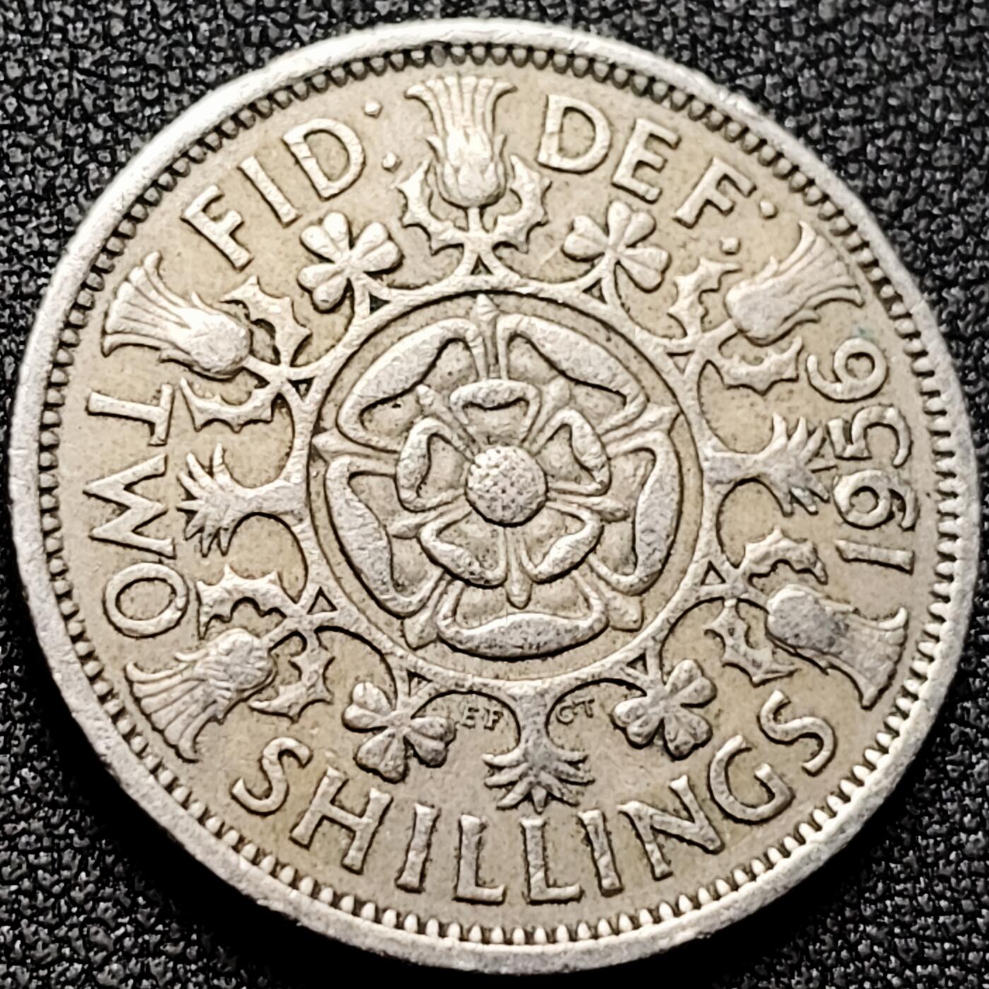 泉币菌-第169场- 精品福利场 。