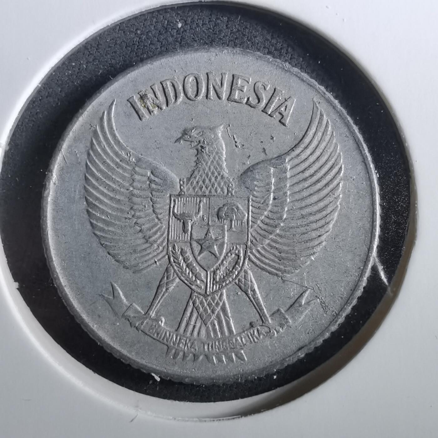 沼泽如烟--第960场