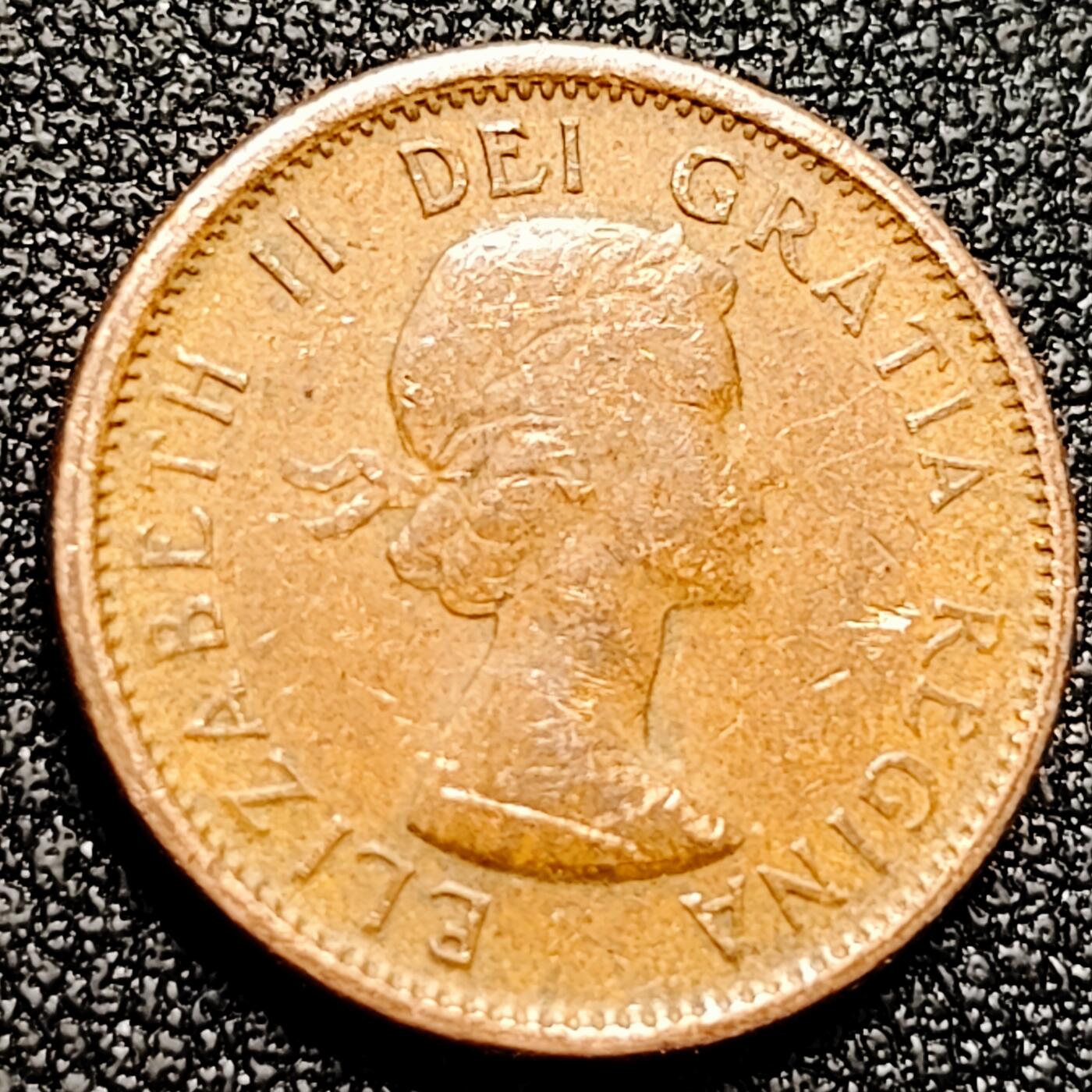 泉币菌-第168场- 精品福利场 。