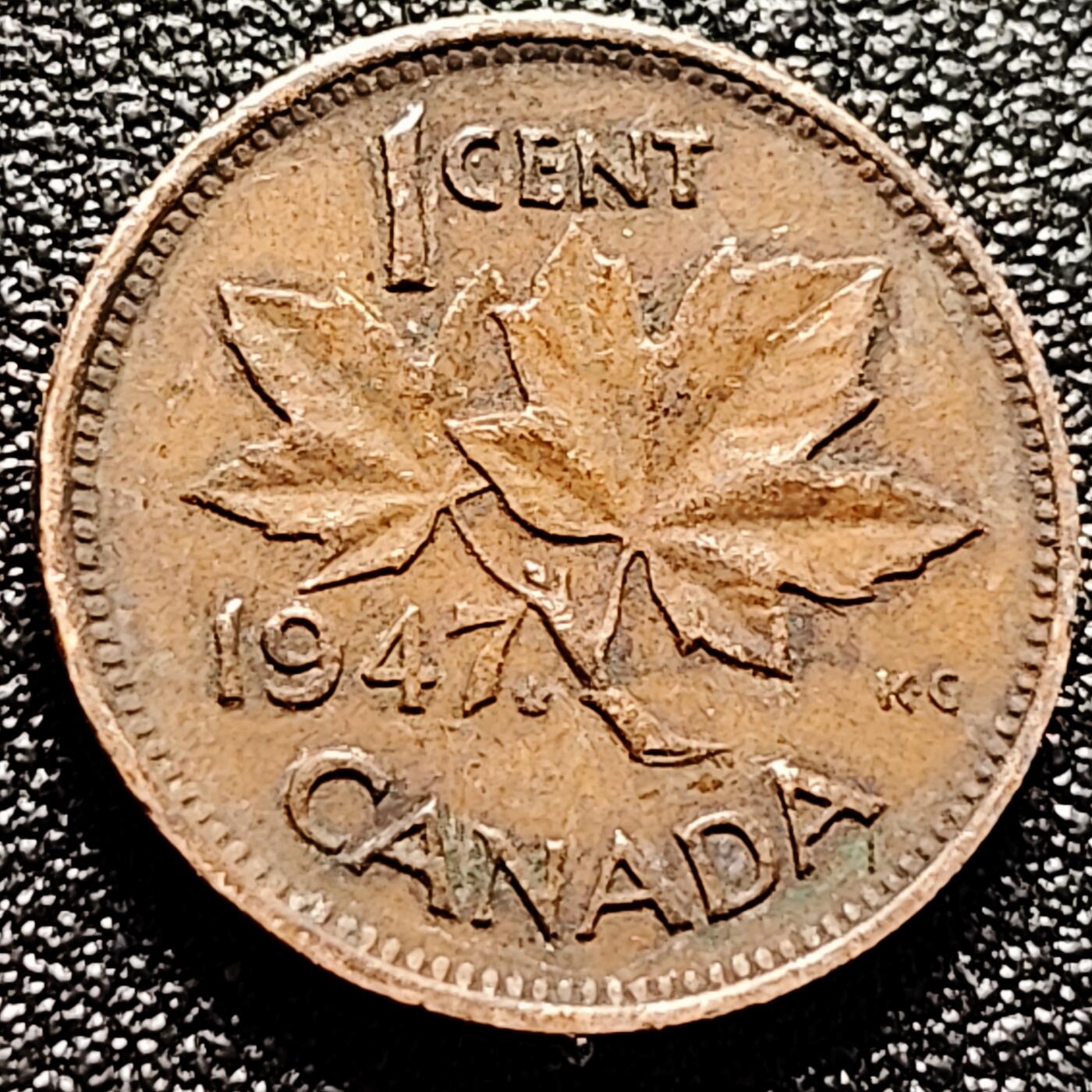 泉币菌-第168场- 精品福利场