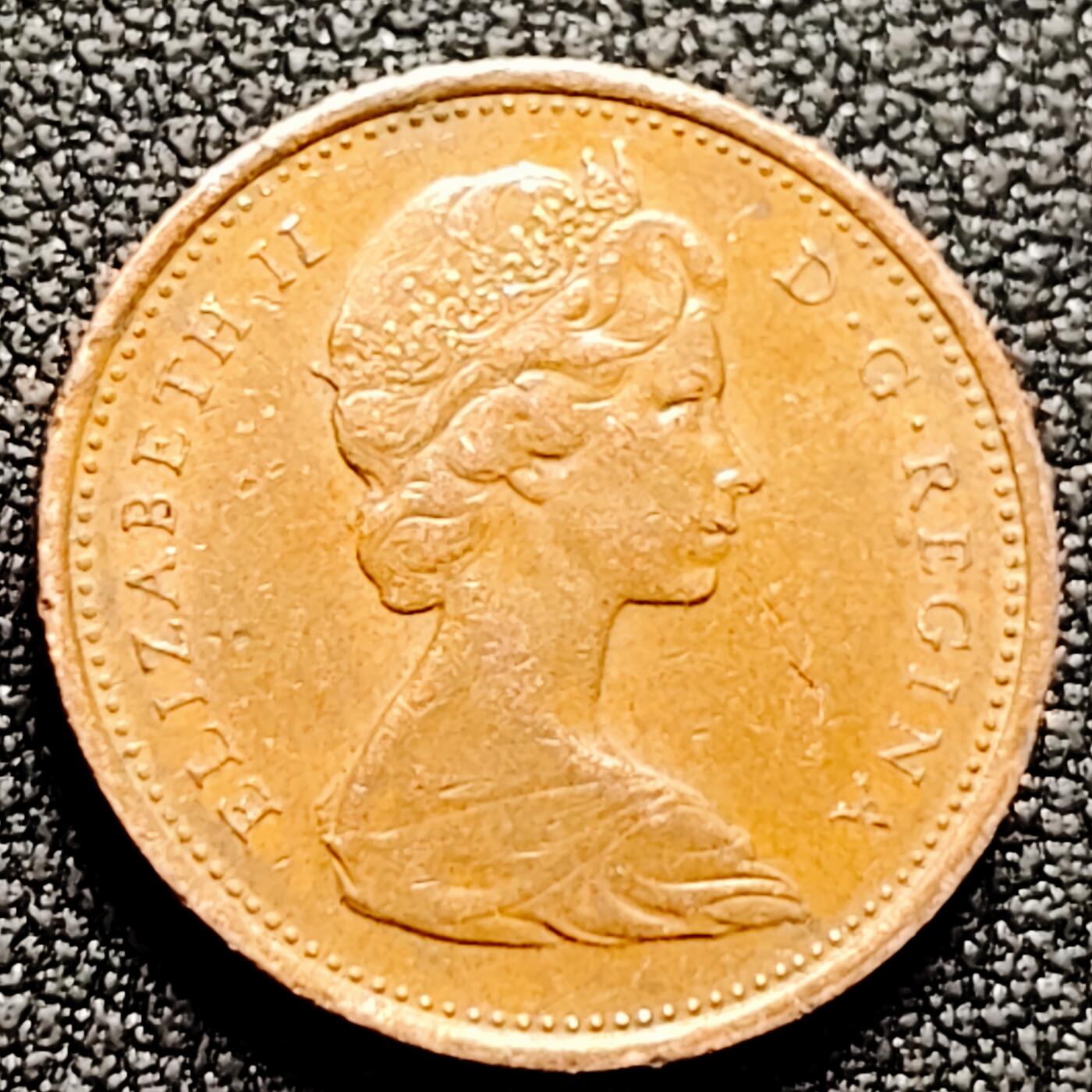 泉币菌-第169场- 精品福利场 。