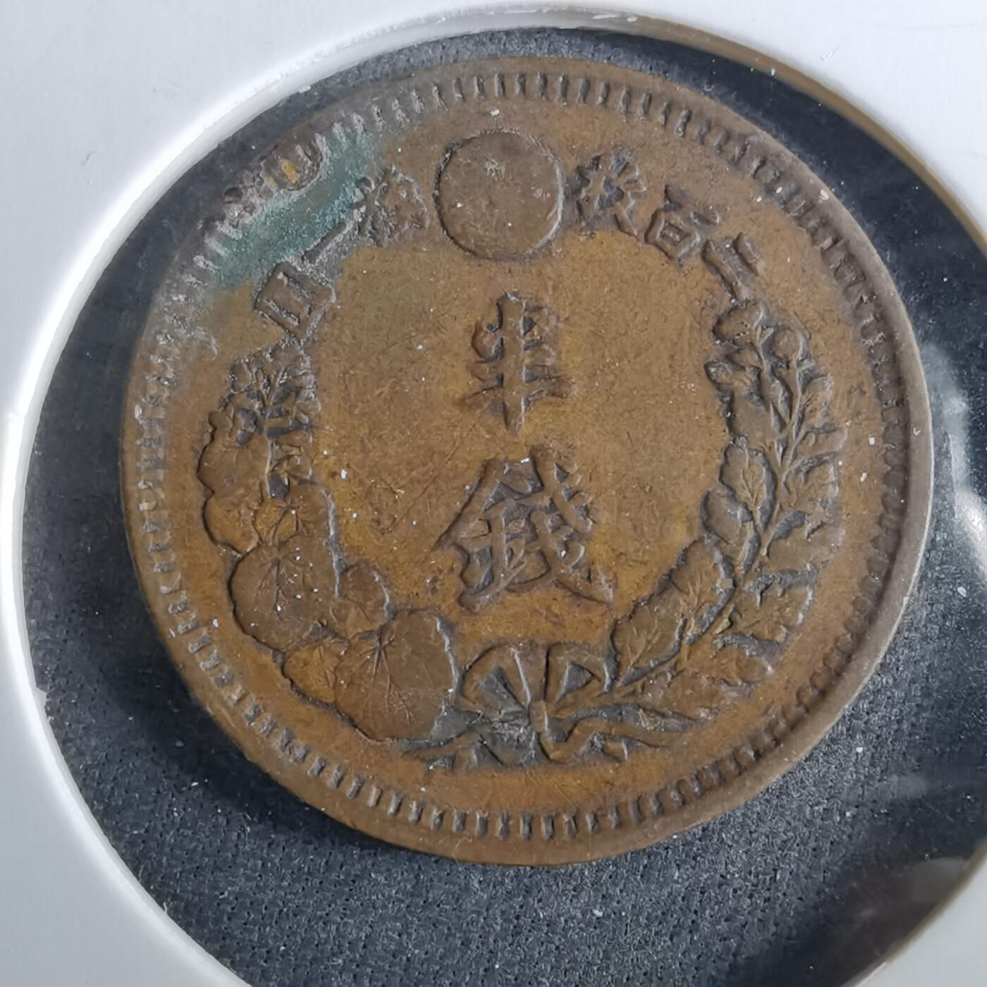 沼泽如烟--第960场