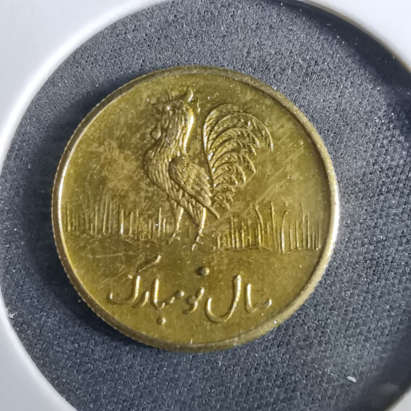 沼泽如烟--第960场