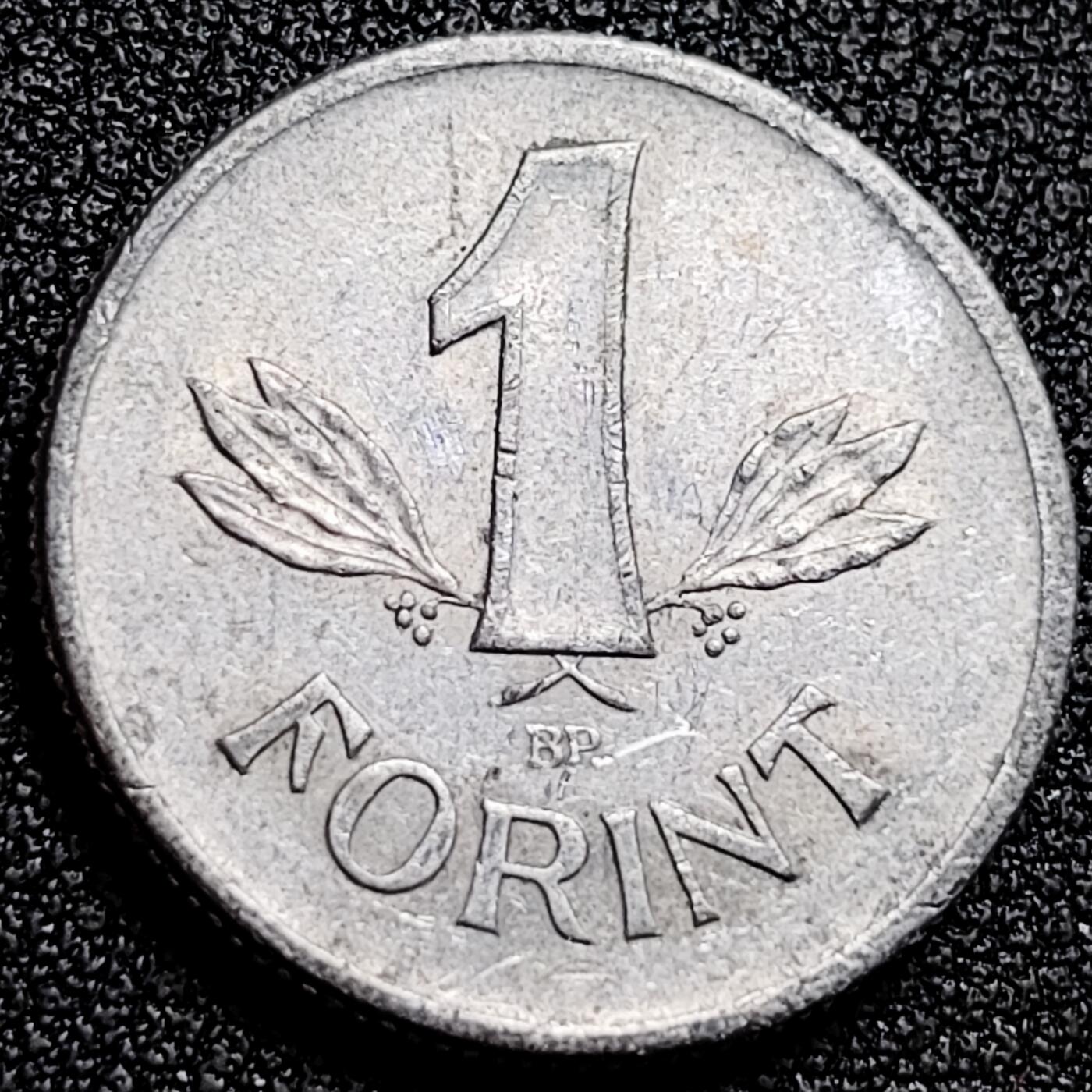 泉币菌-第168场- 精品福利场 。