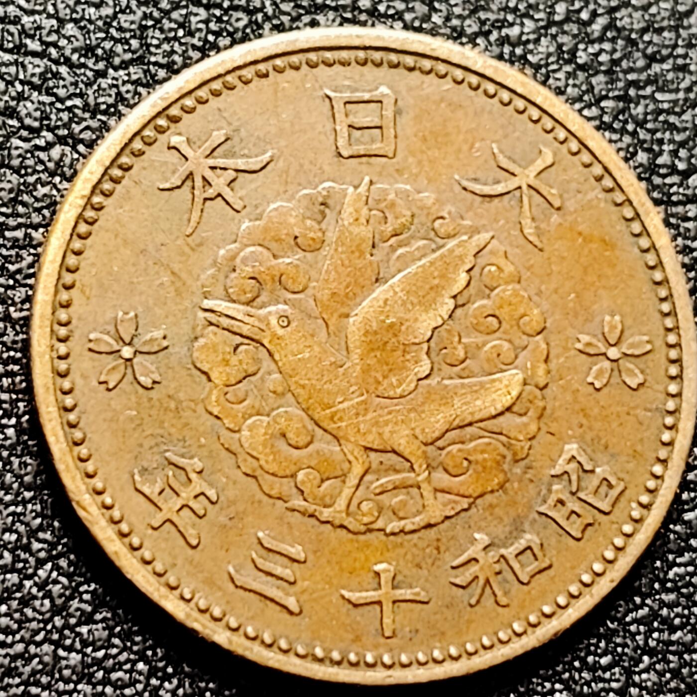 泉币菌-第168场- 精品福利场 。