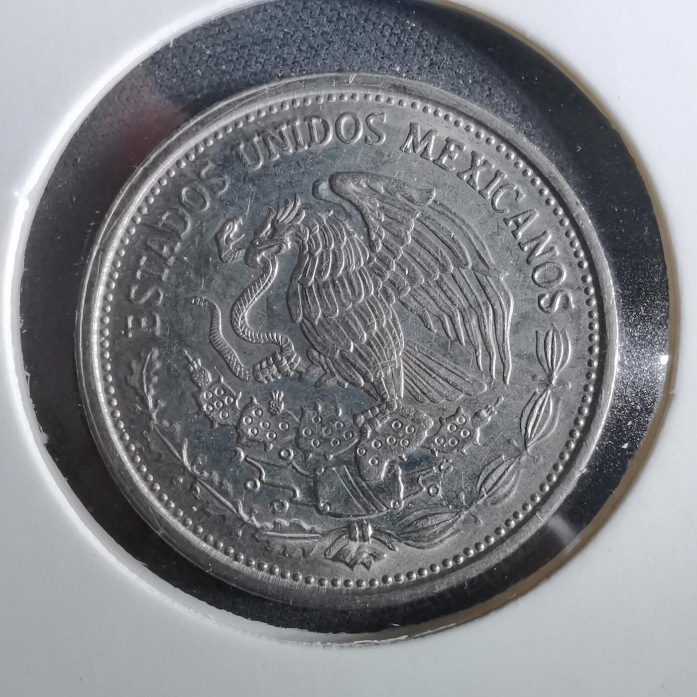 沼泽如烟--第960场