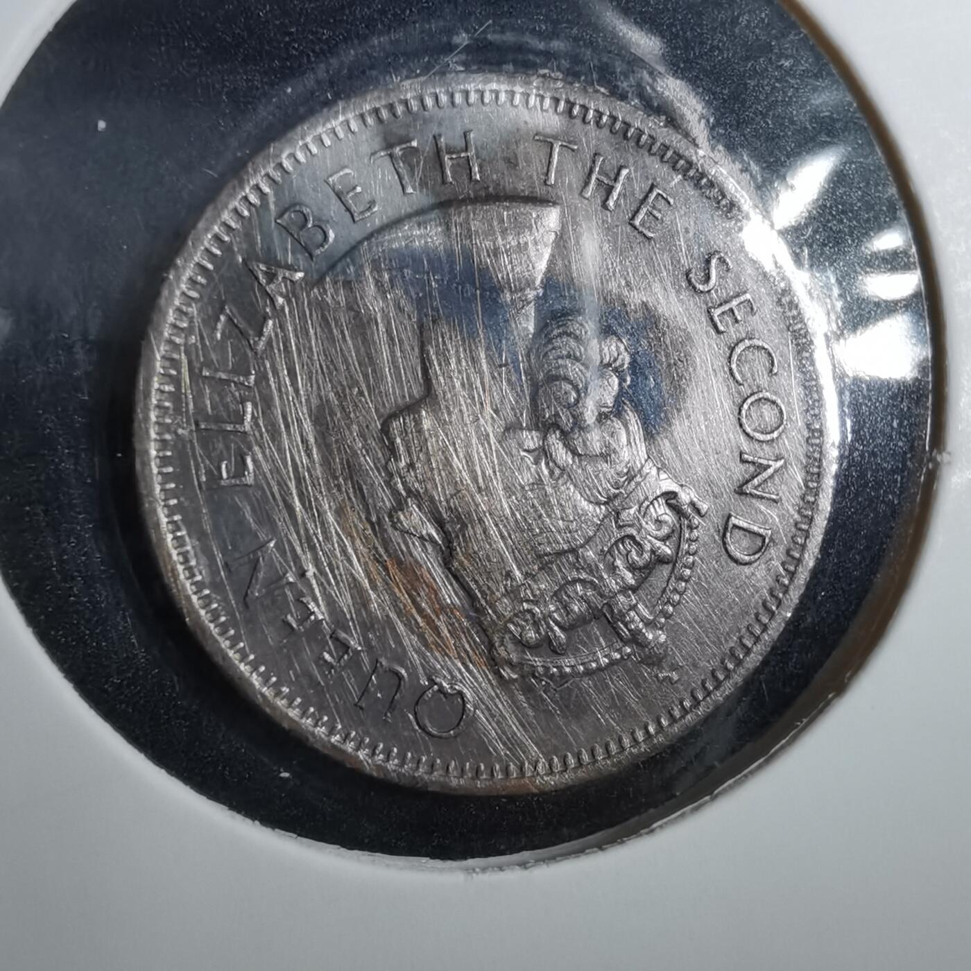 沼泽如烟--第960场