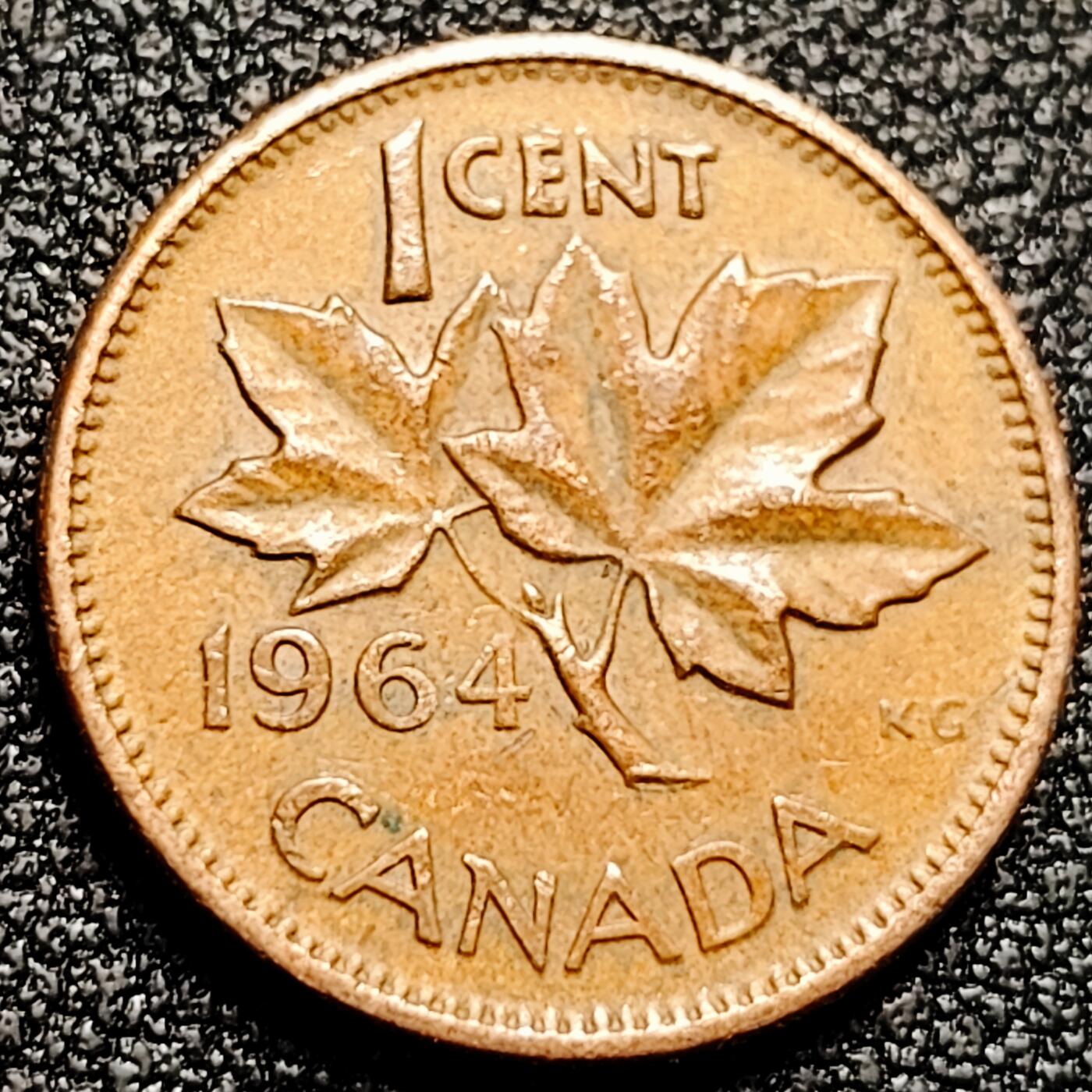 泉币菌-第168场- 精品福利场 。