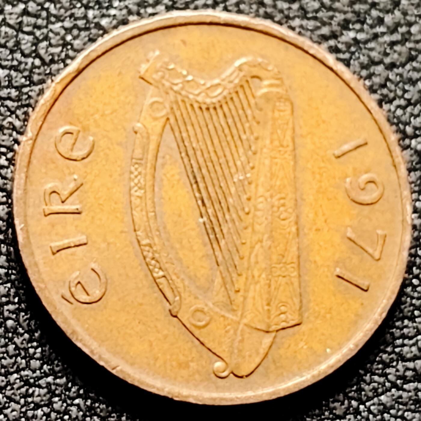 泉币菌-第169场- 精品福利场 。